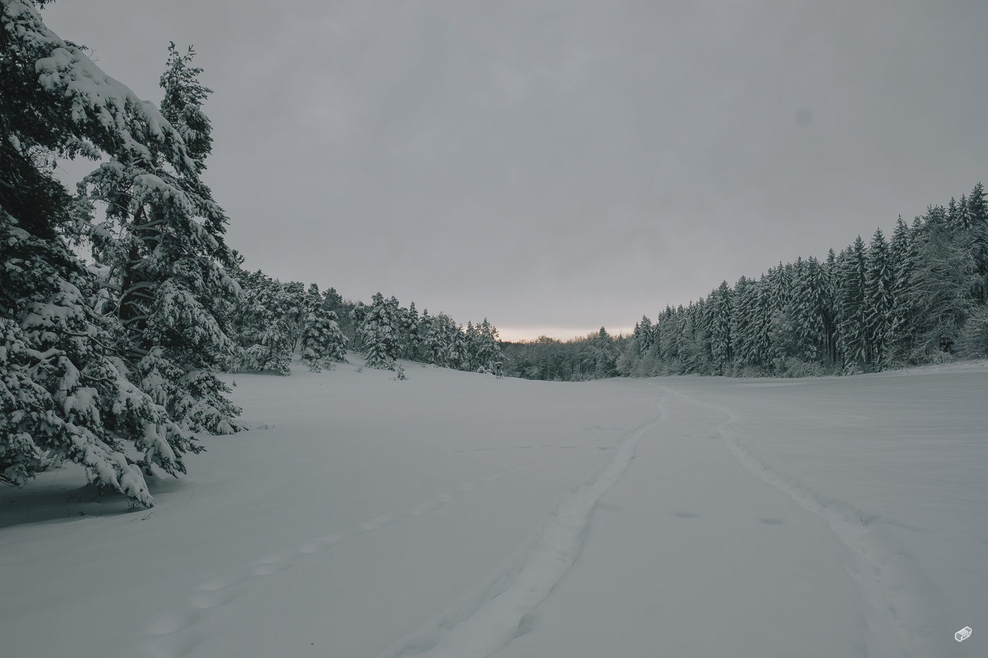  Rainer Wiest Kommunikationsdesign Portfoliobild