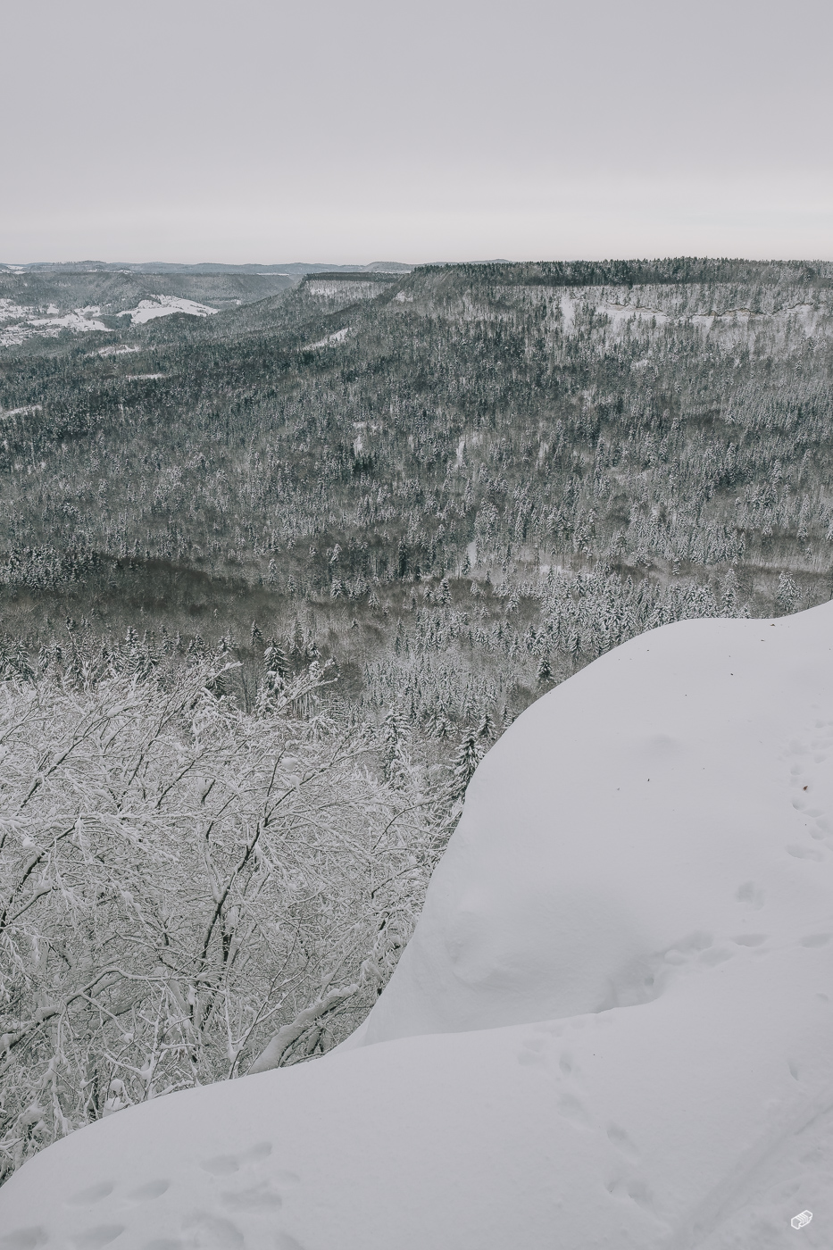  Rainer Wiest Kommunikationsdesign Portfoliobild