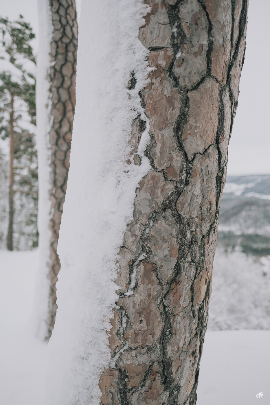  Rainer Wiest Kommunikationsdesign Portfoliobild