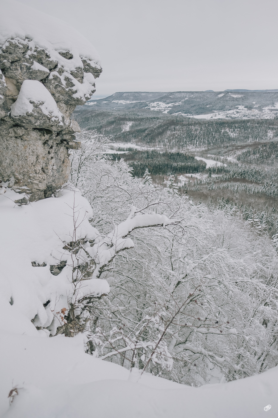  Rainer Wiest Kommunikationsdesign Portfoliobild