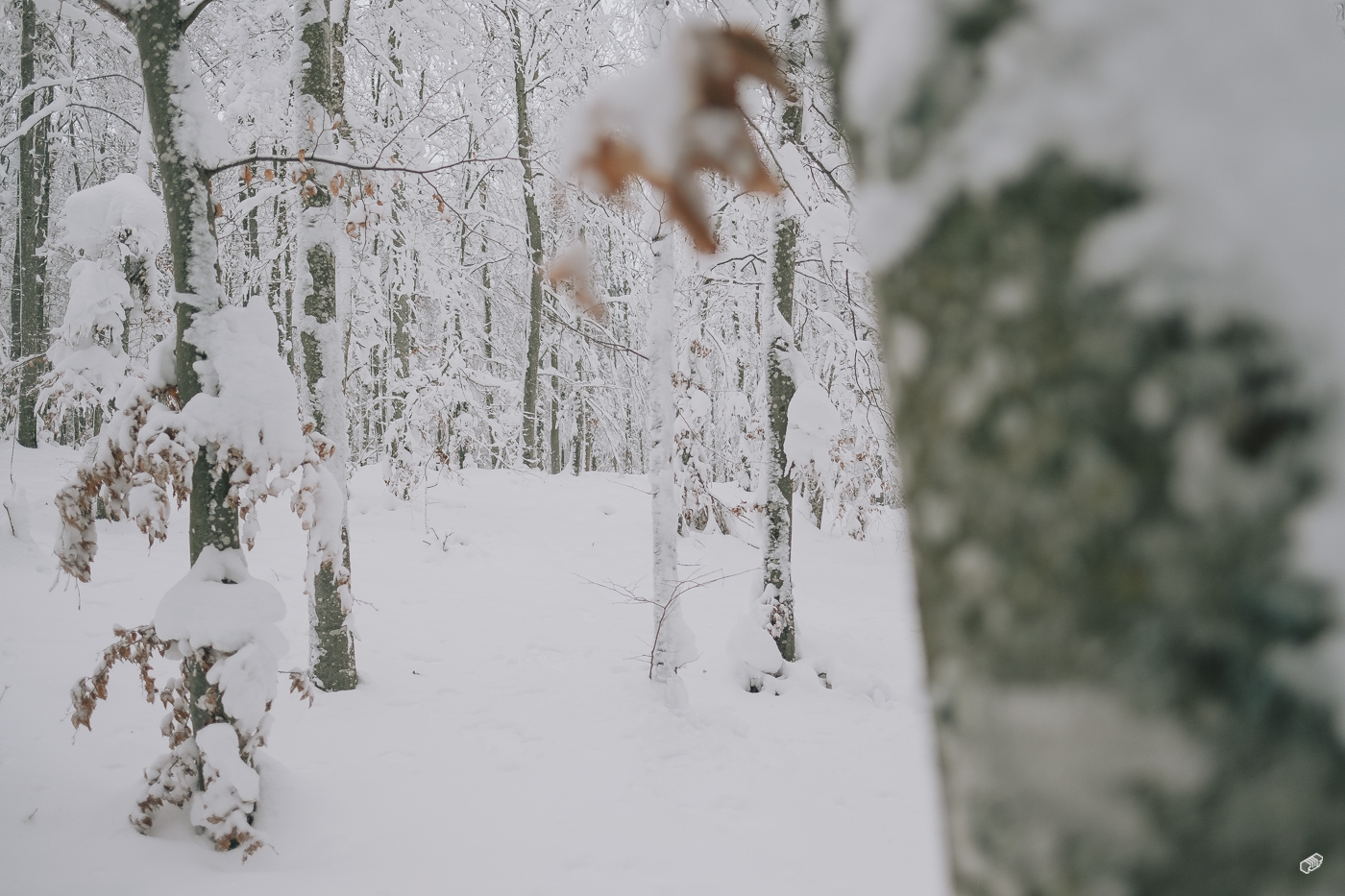  Rainer Wiest Kommunikationsdesign Portfoliobild