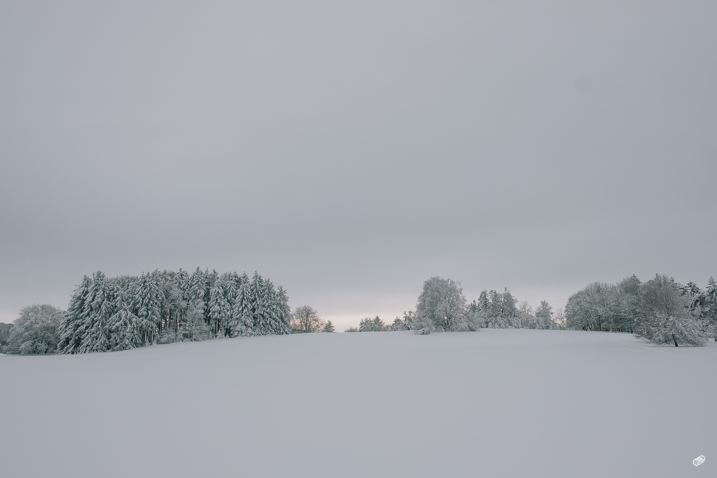  Rainer Wiest Kommunikationsdesign Portfoliobild