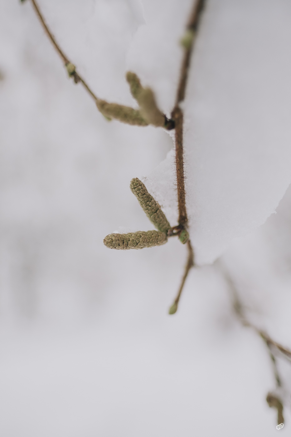  Rainer Wiest Kommunikationsdesign Portfoliobild