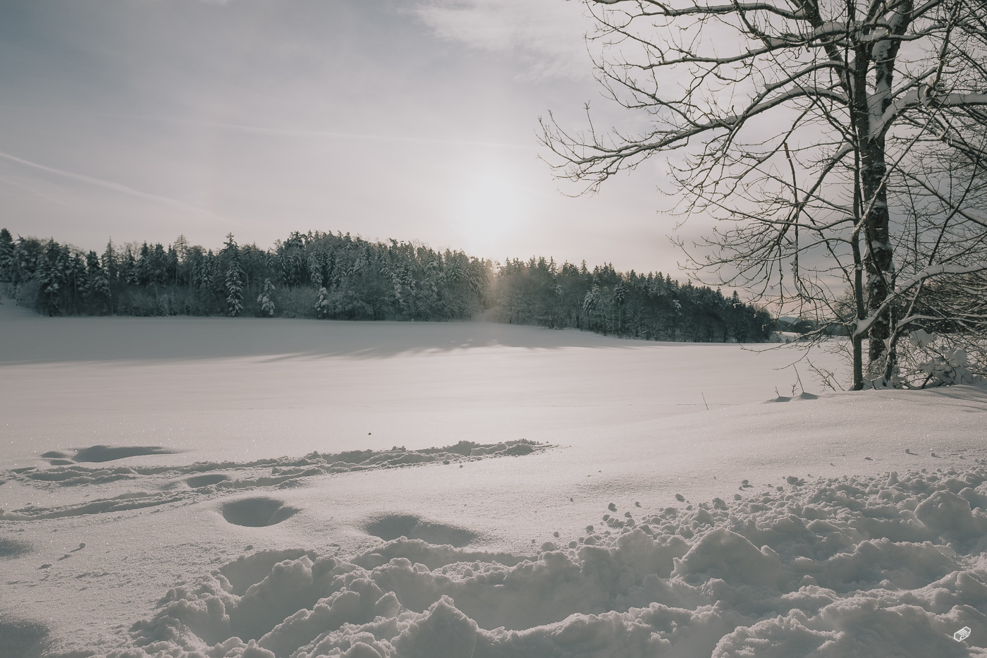  Rainer Wiest Kommunikationsdesign Portfoliobild