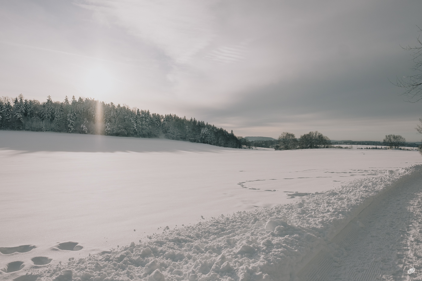  Rainer Wiest Kommunikationsdesign Portfoliobild