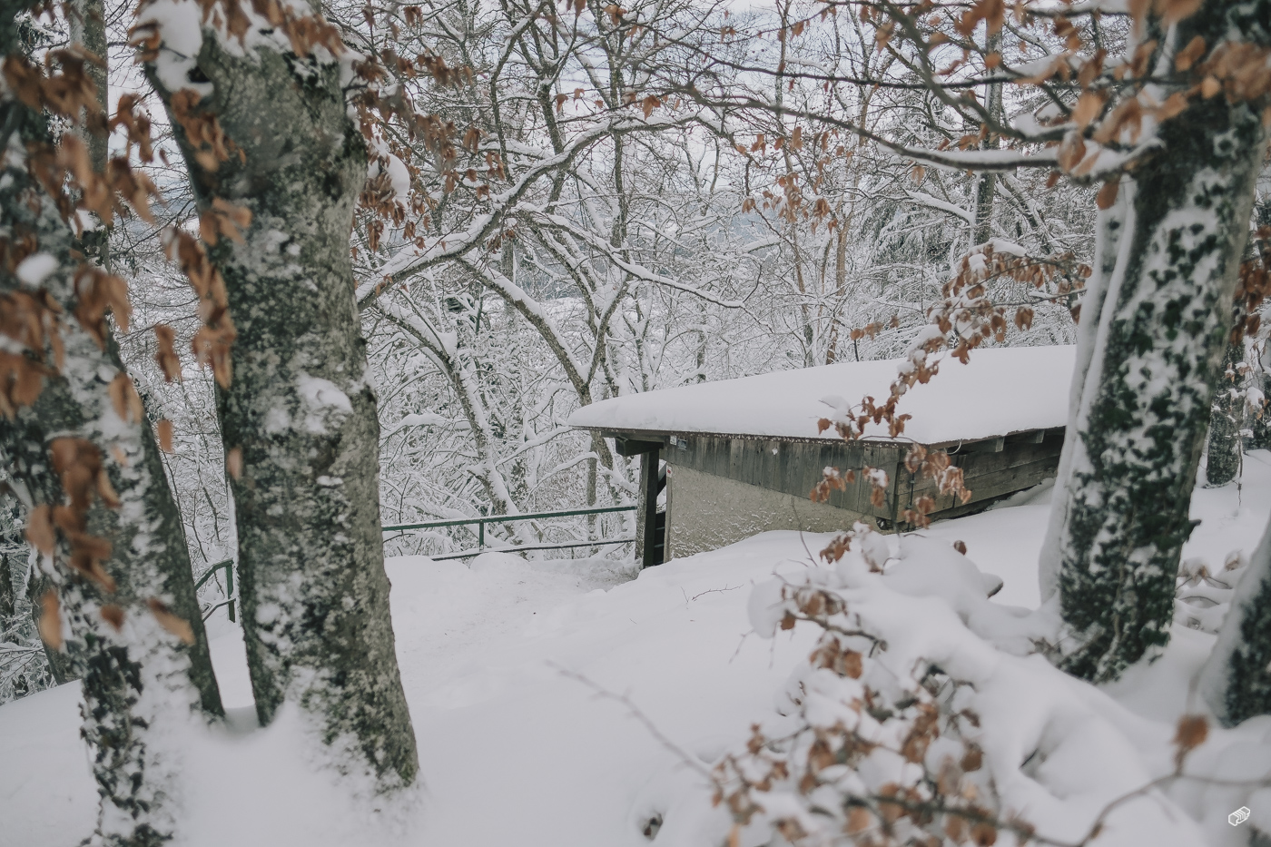  Rainer Wiest Kommunikationsdesign Portfoliobild