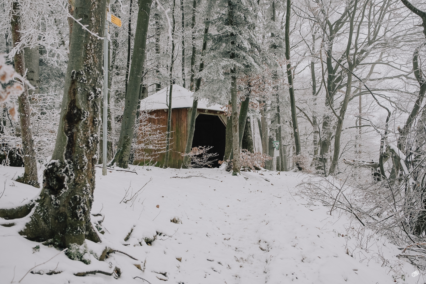  Rainer Wiest Kommunikationsdesign Portfoliobild