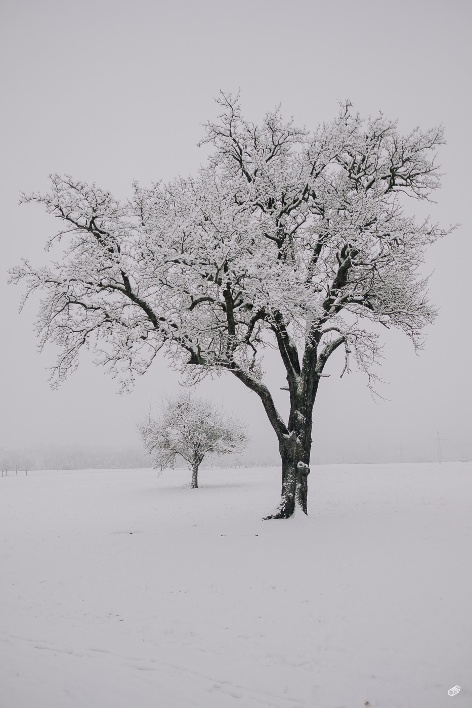  Rainer Wiest Kommunikationsdesign Portfoliobild