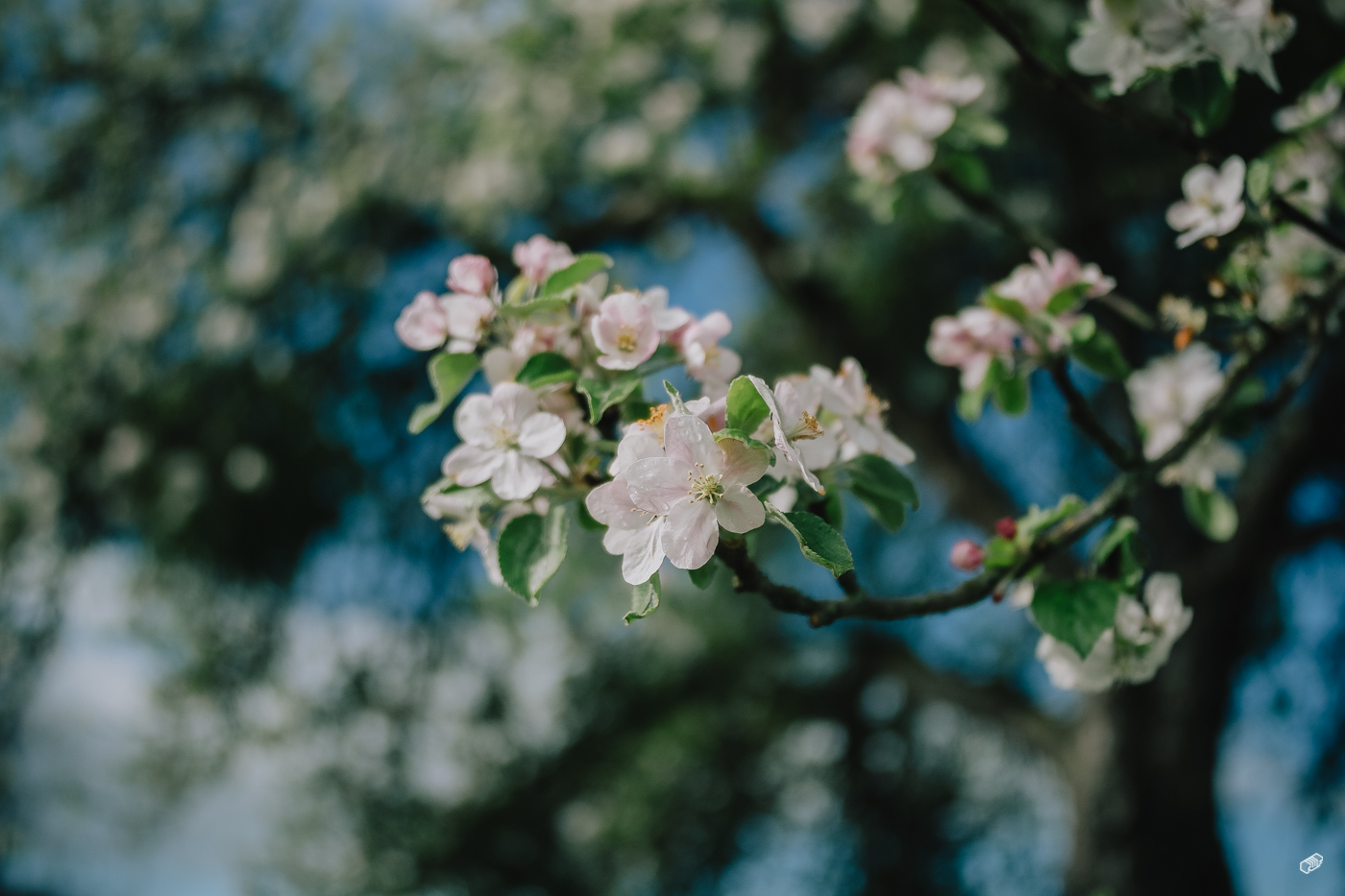  Rainer Wiest Kommunikationsdesign Portfoliobild