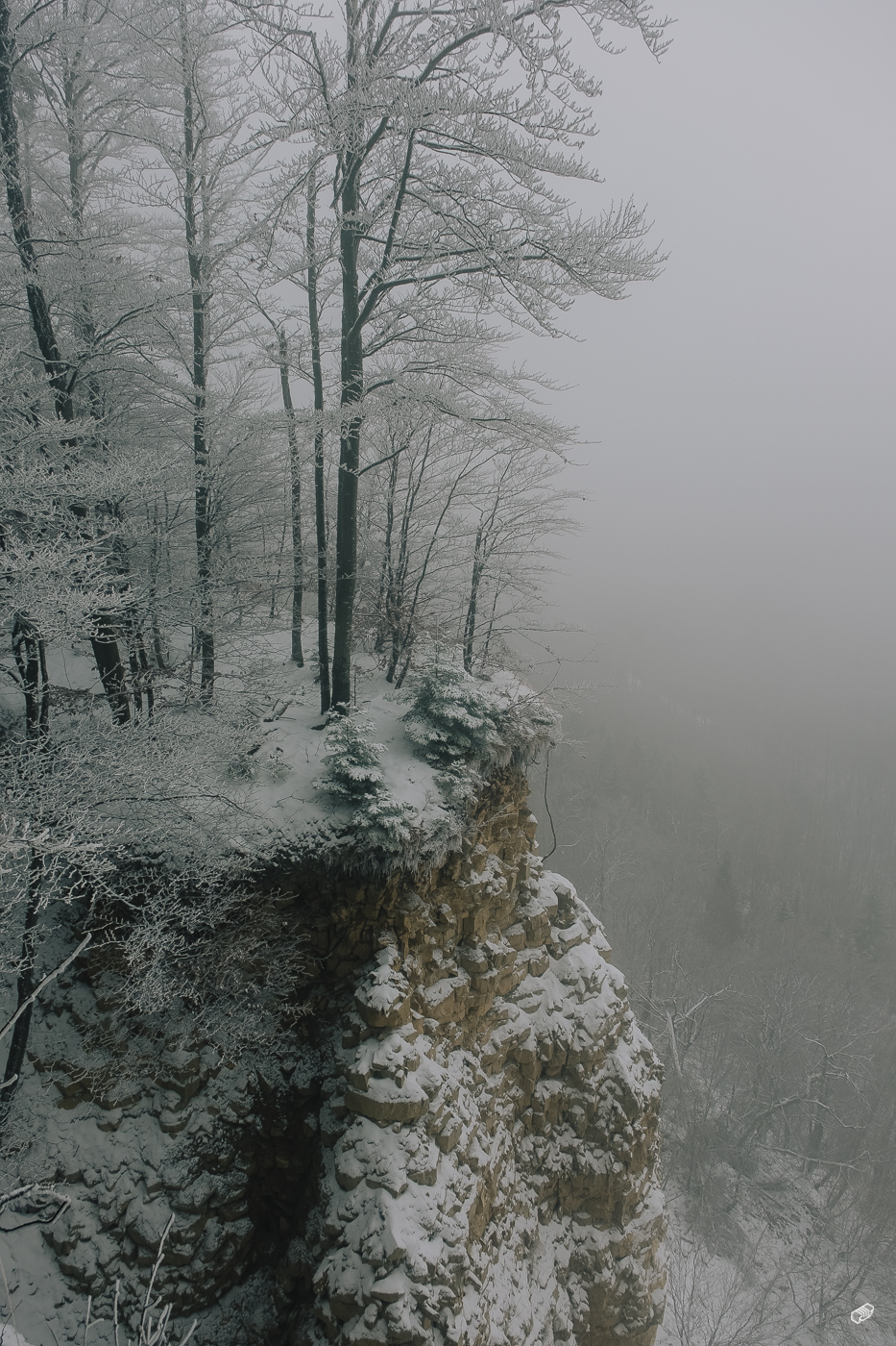  Rainer Wiest Kommunikationsdesign Portfoliobild