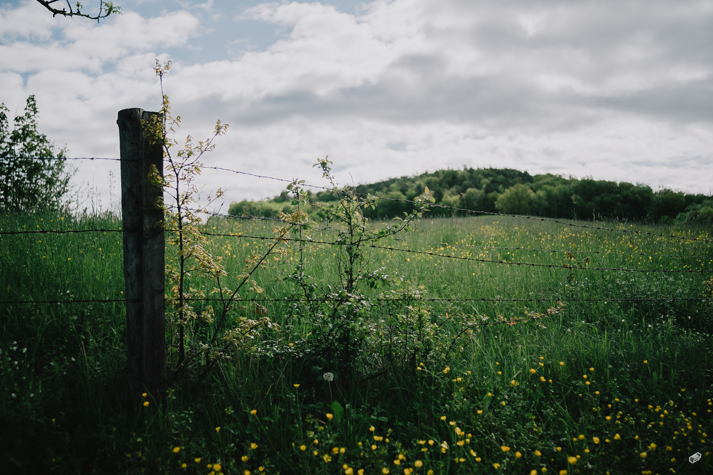  Rainer Wiest Kommunikationsdesign Portfoliobild