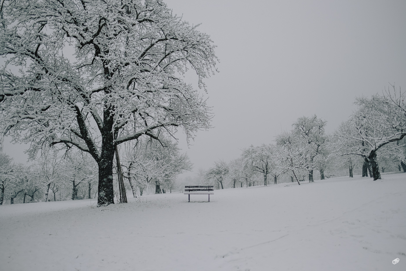  Rainer Wiest Kommunikationsdesign Portfoliobild