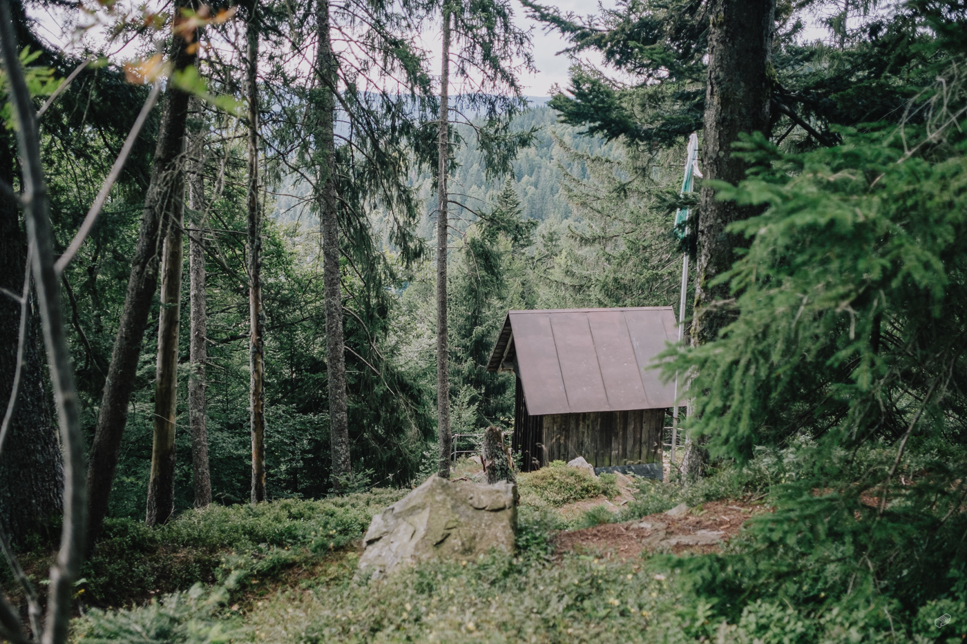  Rainer Wiest Kommunikationsdesign Portfoliobild