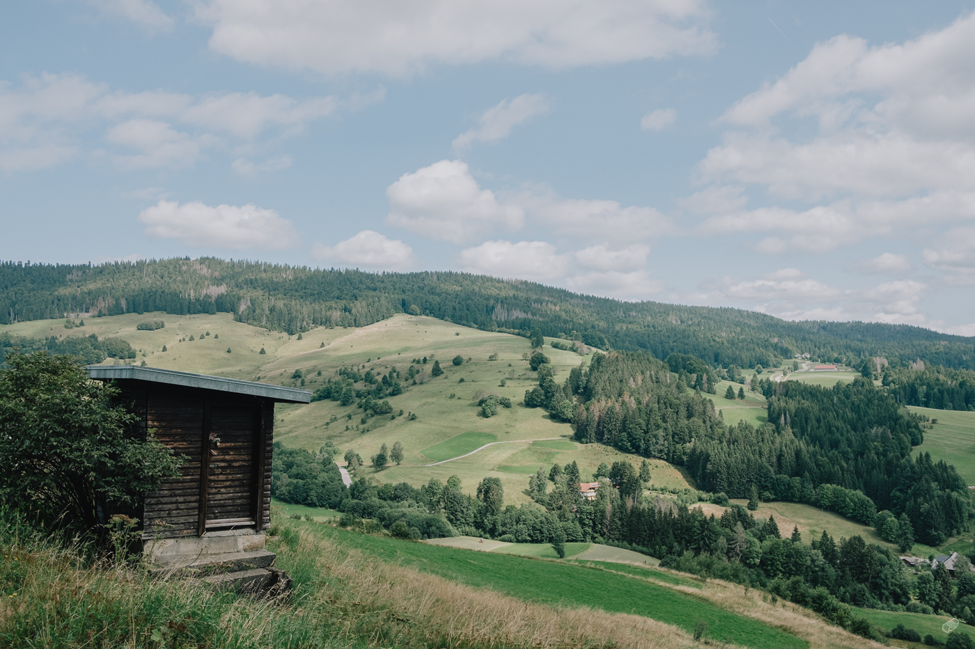  Rainer Wiest Kommunikationsdesign Portfoliobild