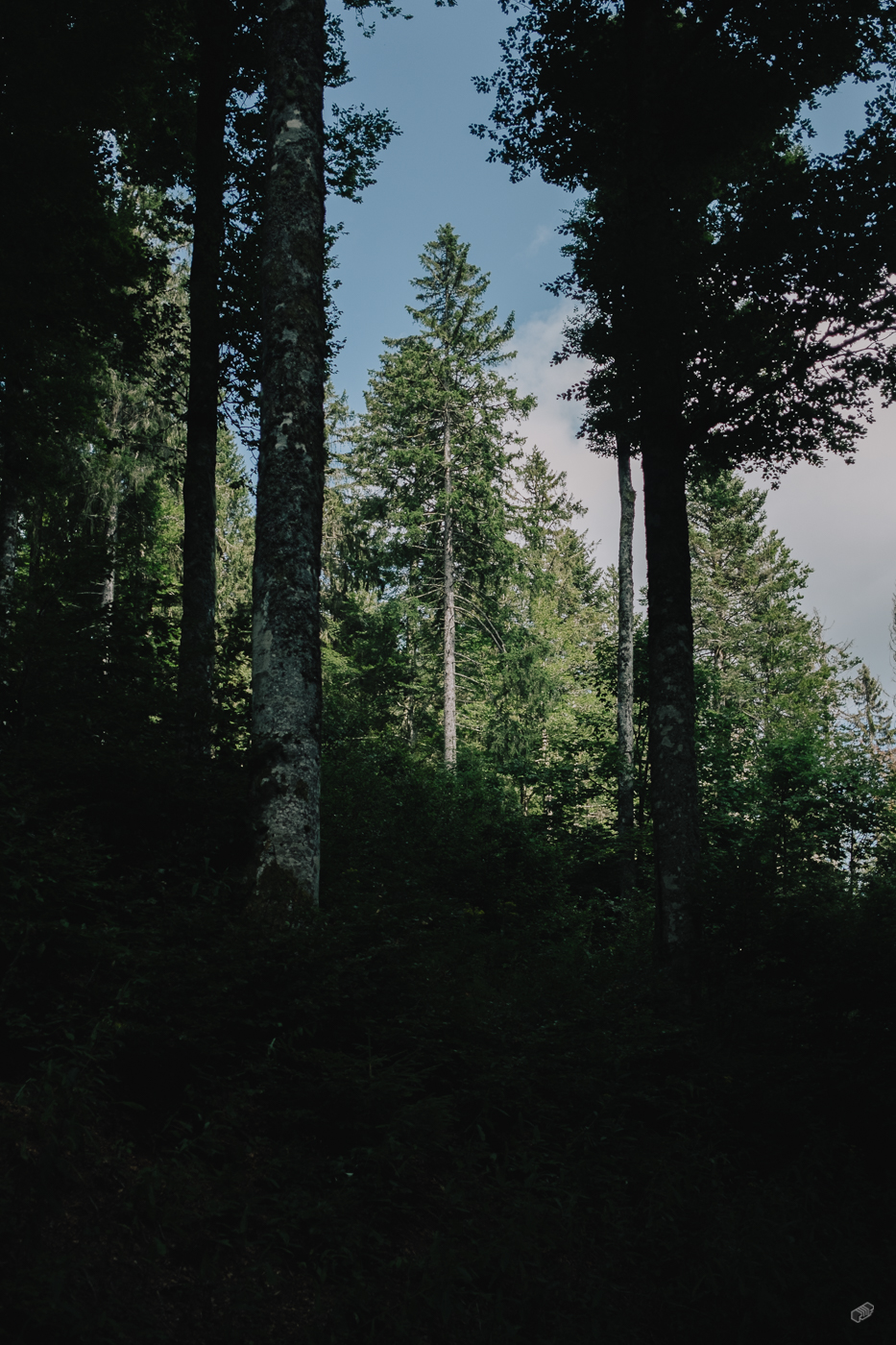  Rainer Wiest Kommunikationsdesign Portfoliobild