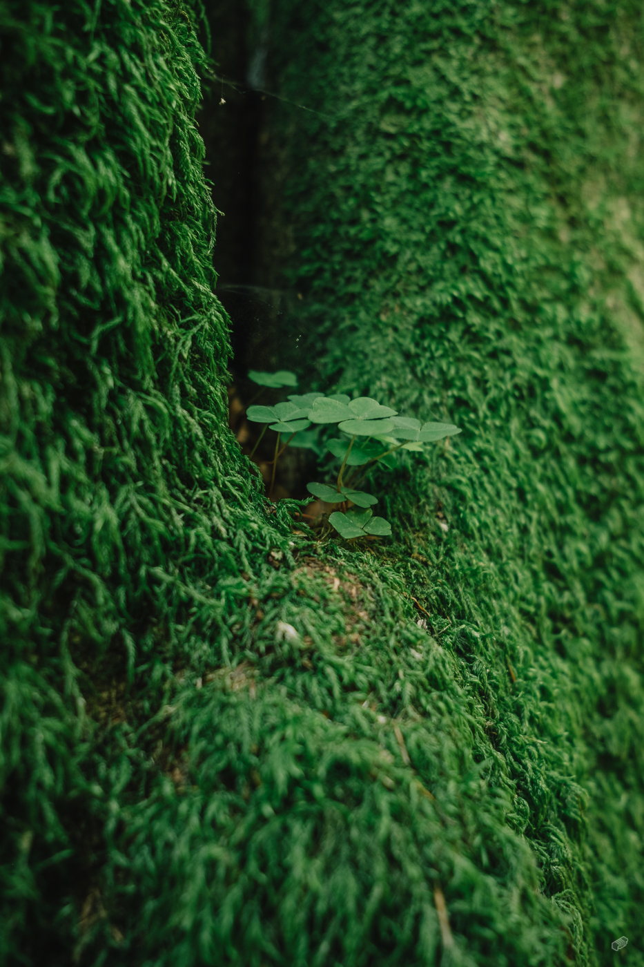  Rainer Wiest Kommunikationsdesign Portfoliobild