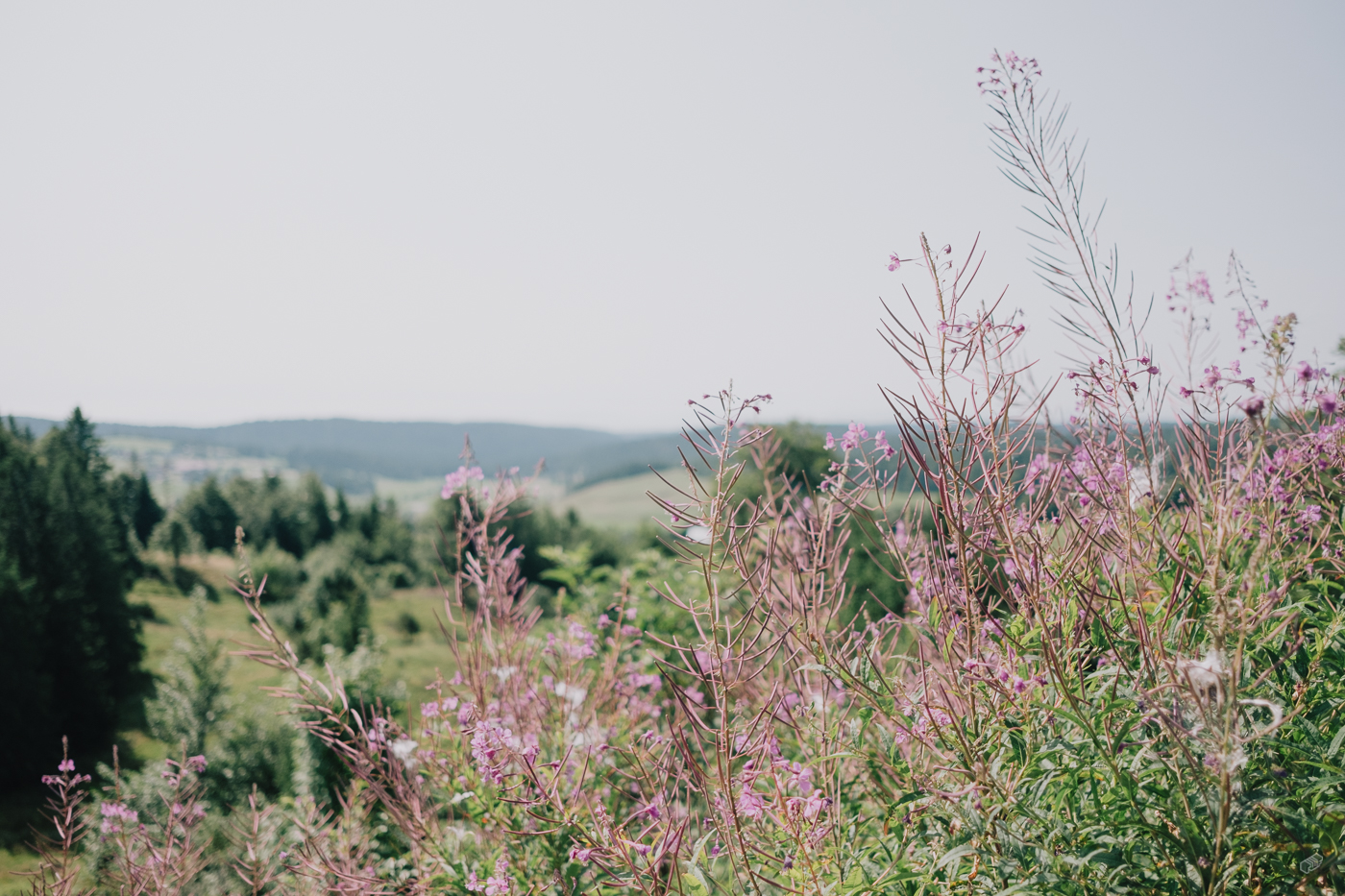  Rainer Wiest Kommunikationsdesign Portfoliobild