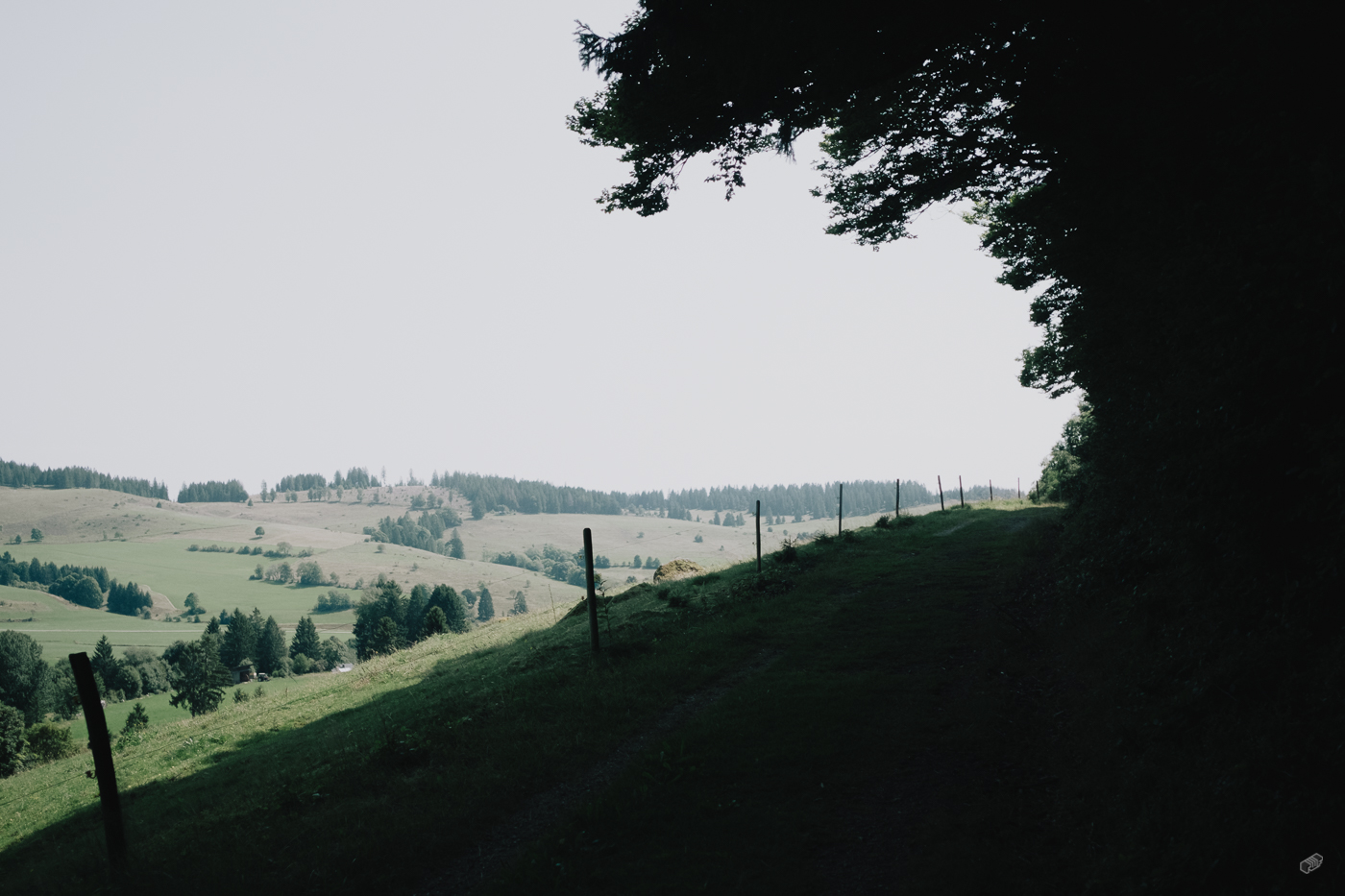  Rainer Wiest Kommunikationsdesign Portfoliobild