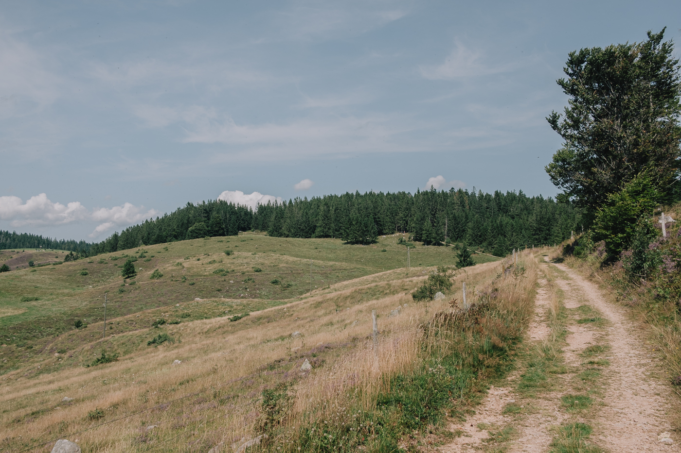  Rainer Wiest Kommunikationsdesign Portfoliobild