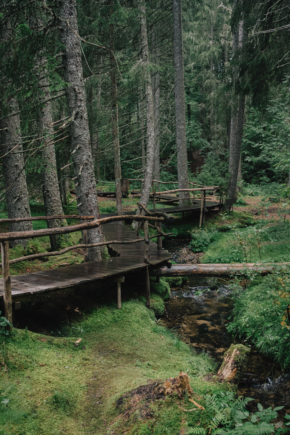  Rainer Wiest Kommunikationsdesign Portfoliobild