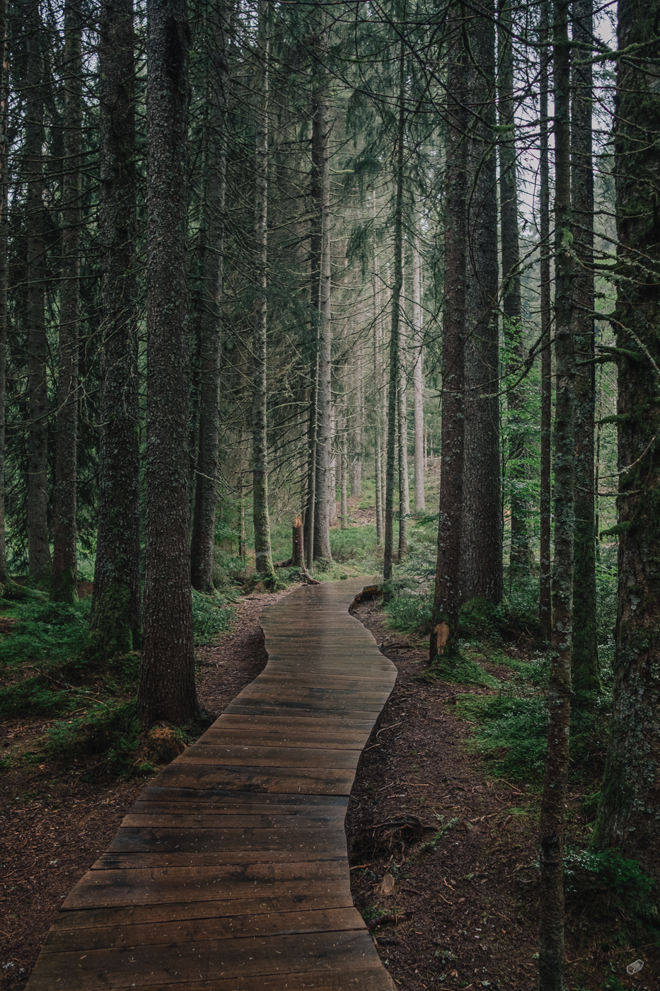  Rainer Wiest Kommunikationsdesign Portfoliobild