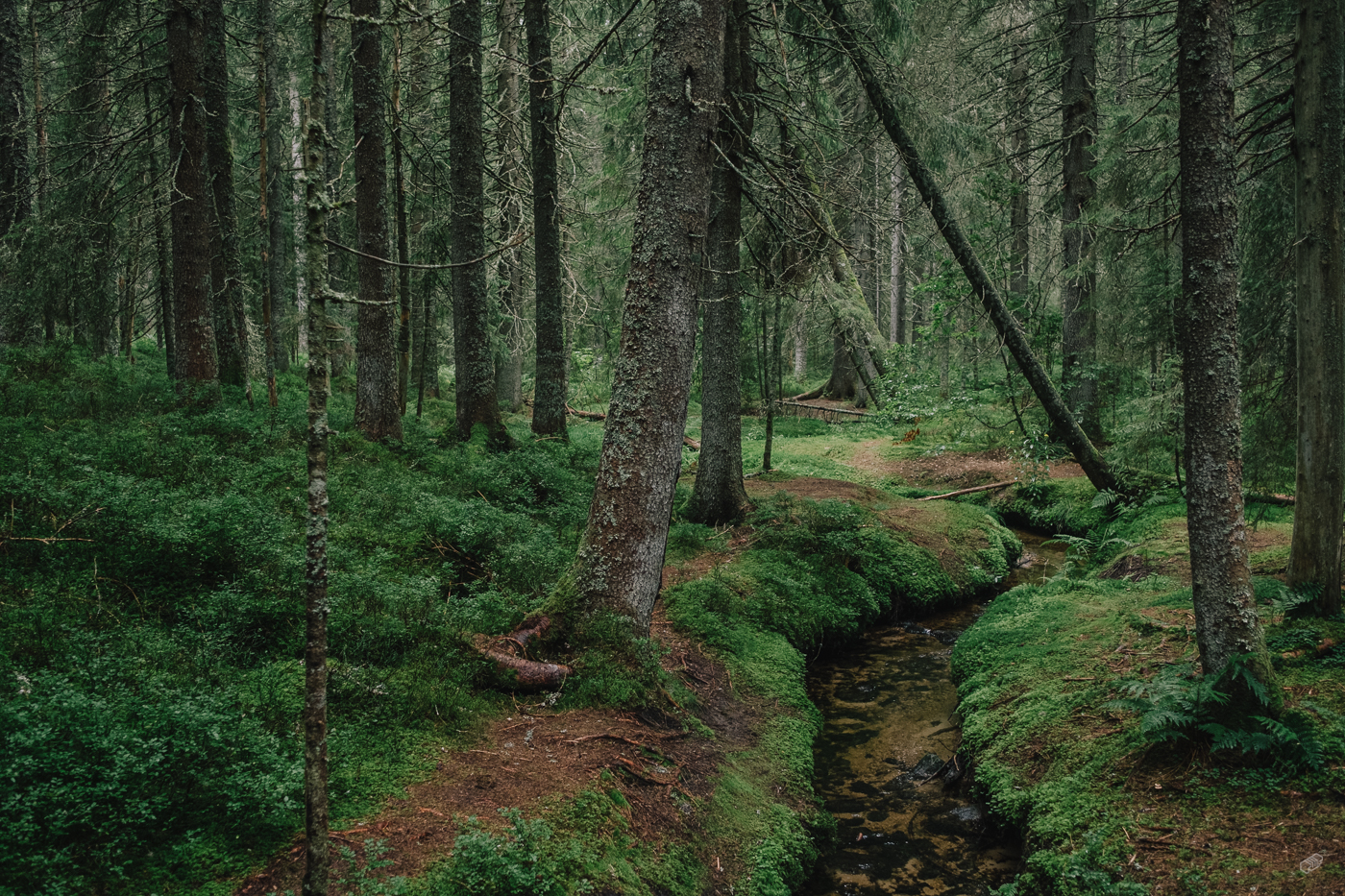  Rainer Wiest Kommunikationsdesign Portfoliobild