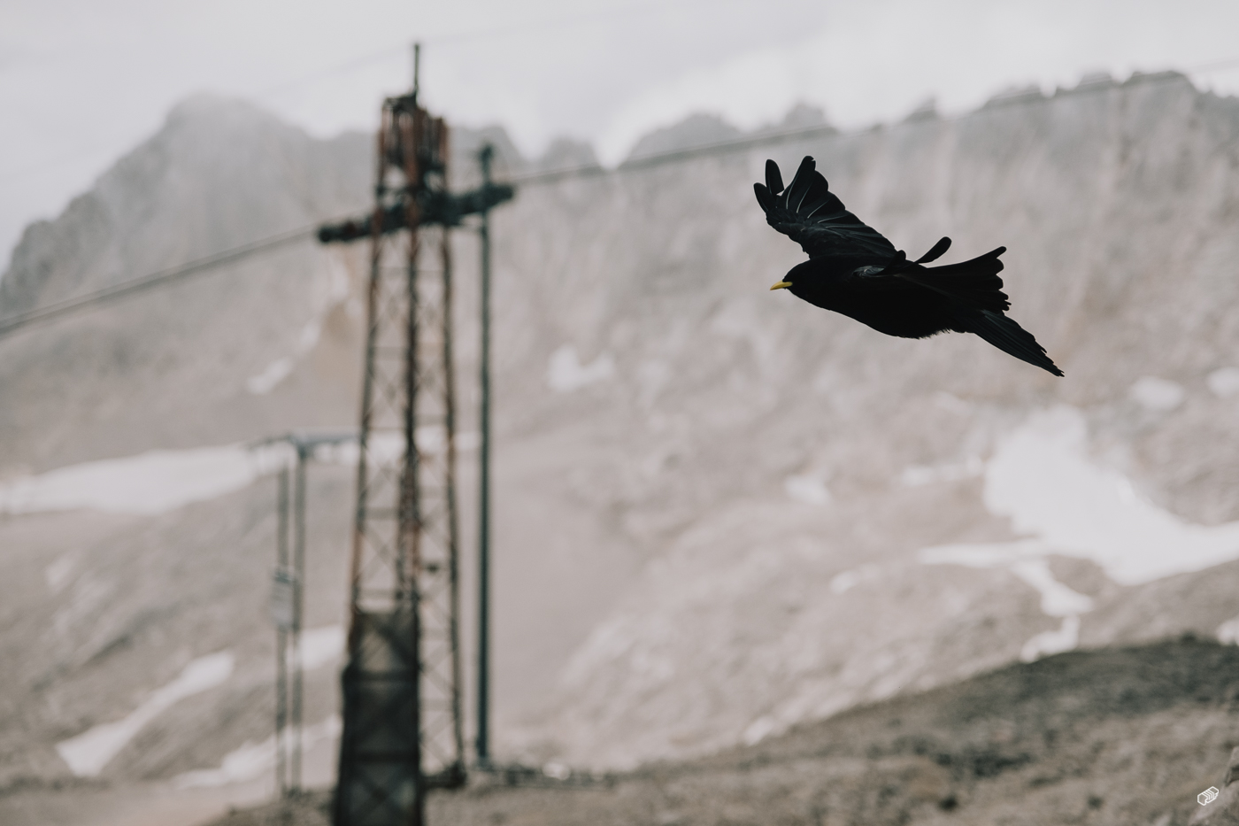  Rainer Wiest Kommunikationsdesign Portfoliobild