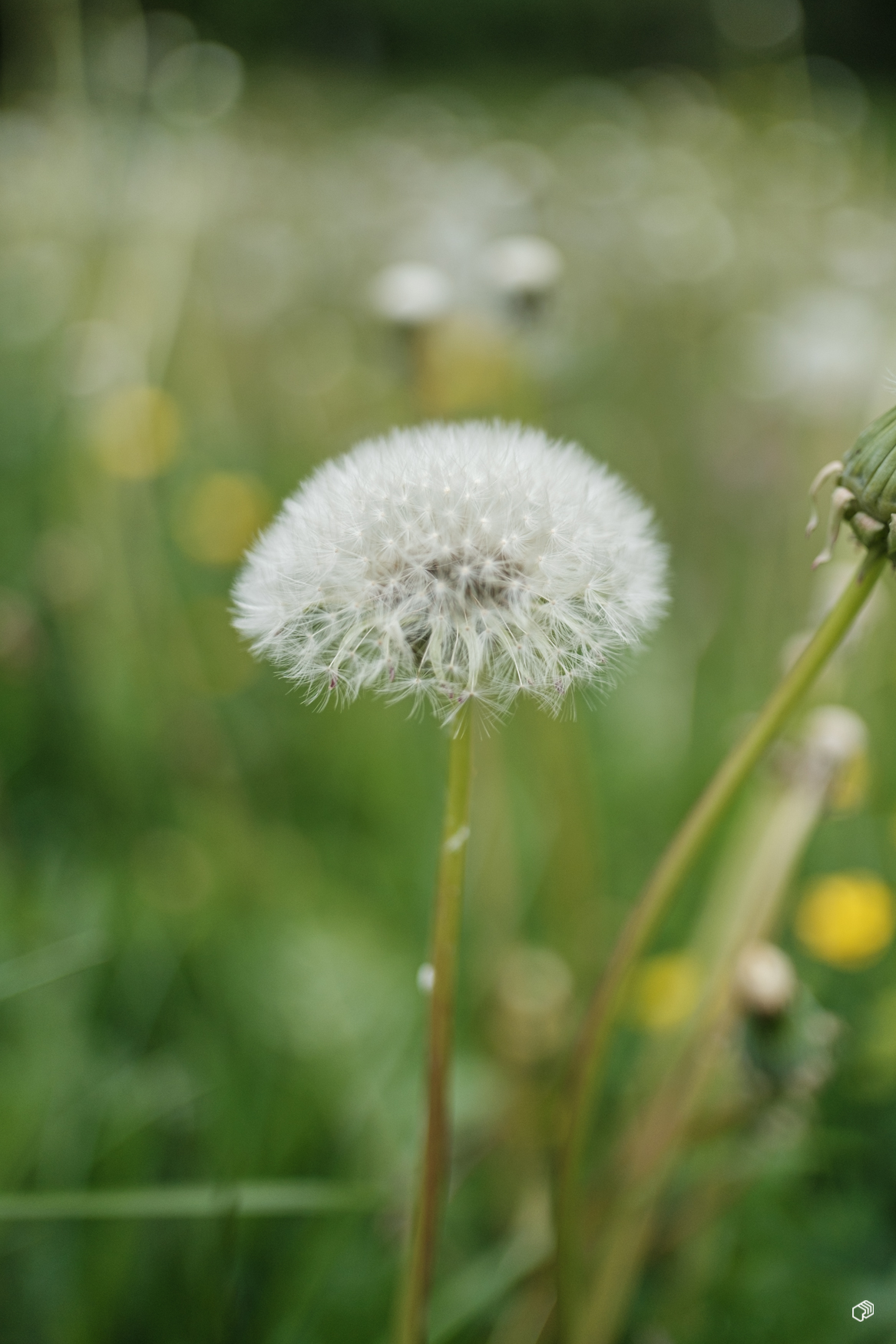  Rainer Wiest Kommunikationsdesign Portfoliobild