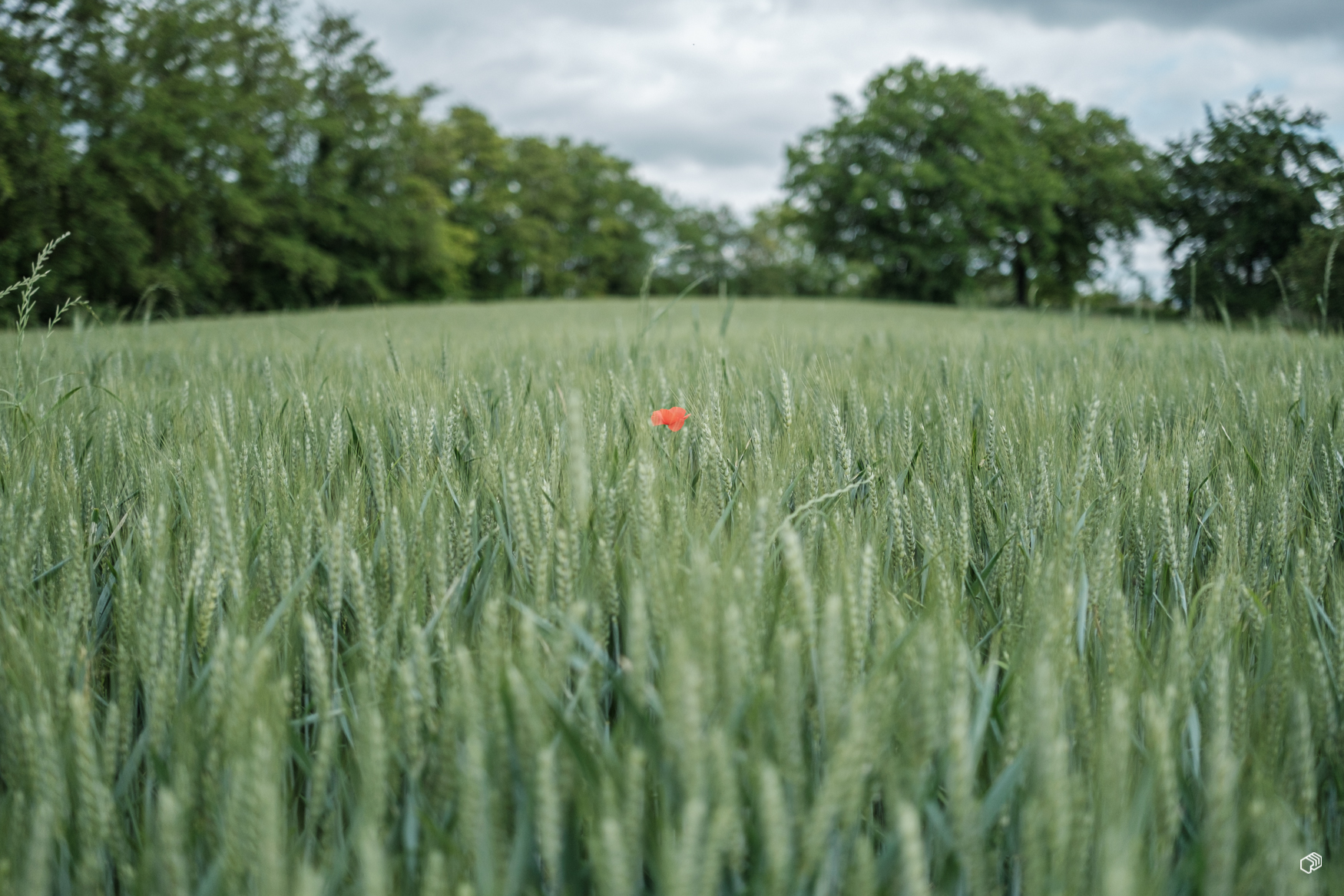  Rainer Wiest Kommunikationsdesign Portfoliobild