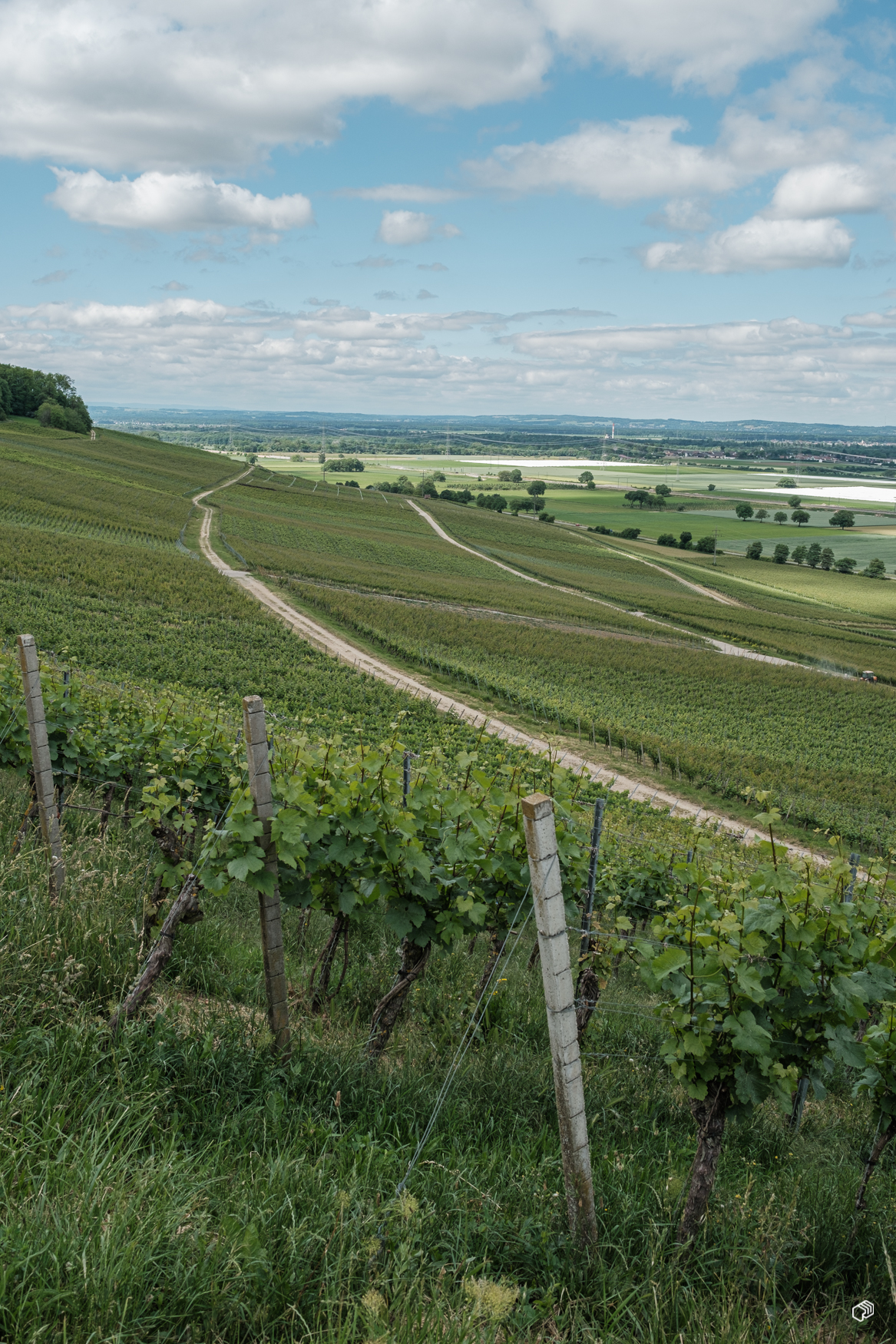  Rainer Wiest Kommunikationsdesign Portfoliobild