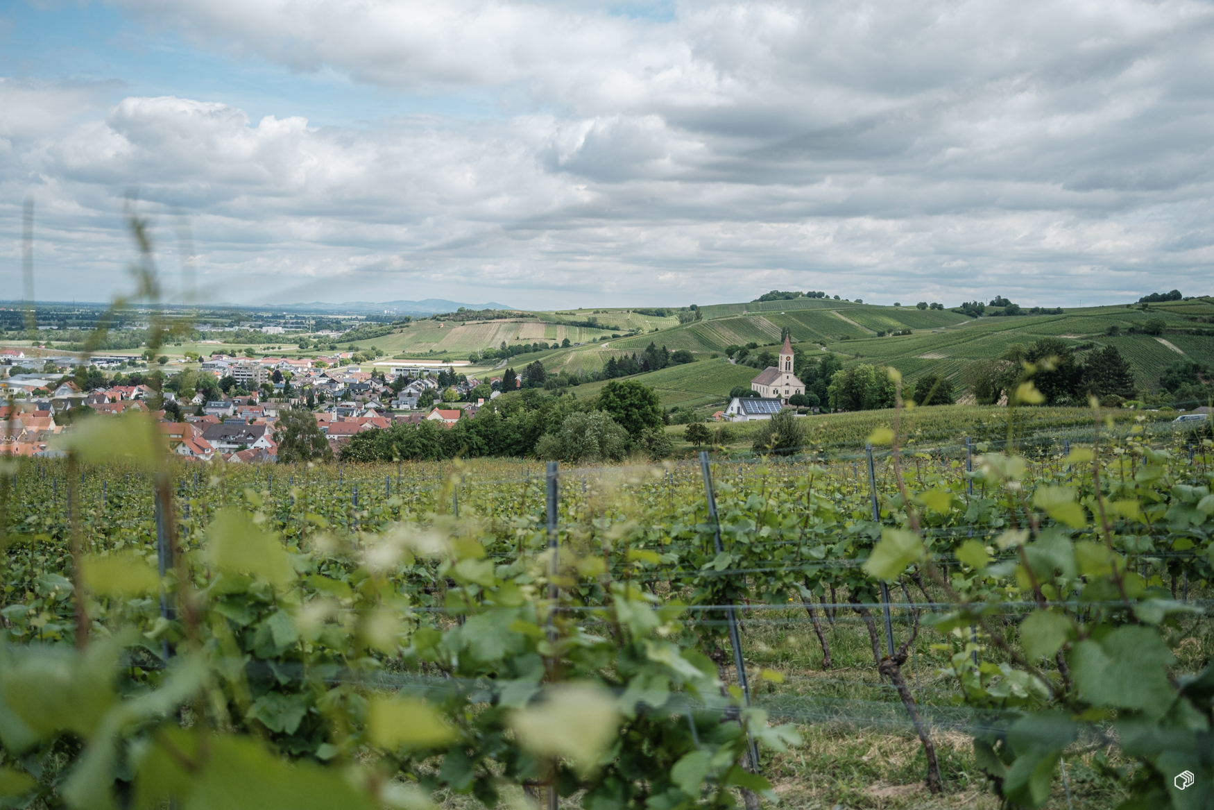  Rainer Wiest Kommunikationsdesign Portfoliobild