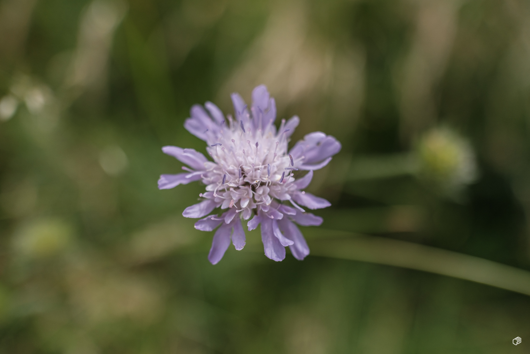  Rainer Wiest Kommunikationsdesign Portfoliobild