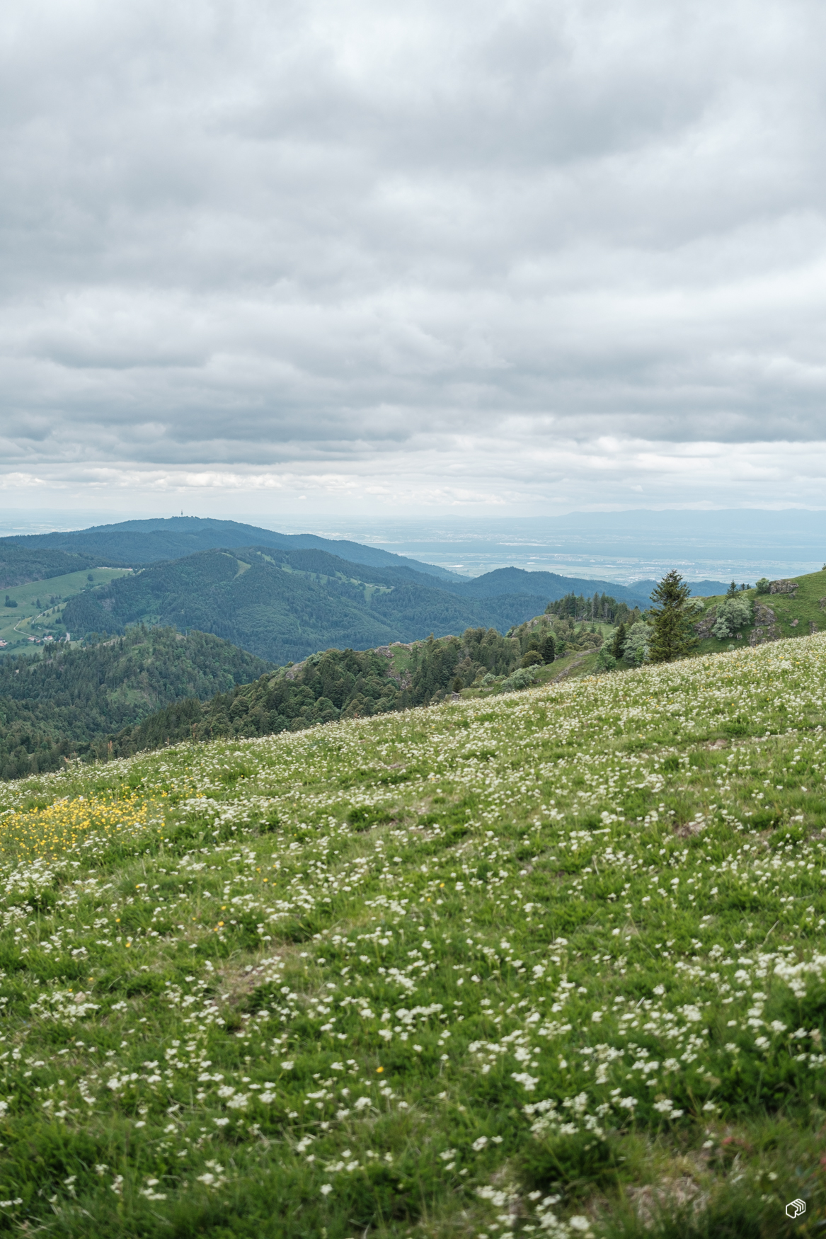  Rainer Wiest Kommunikationsdesign Portfoliobild