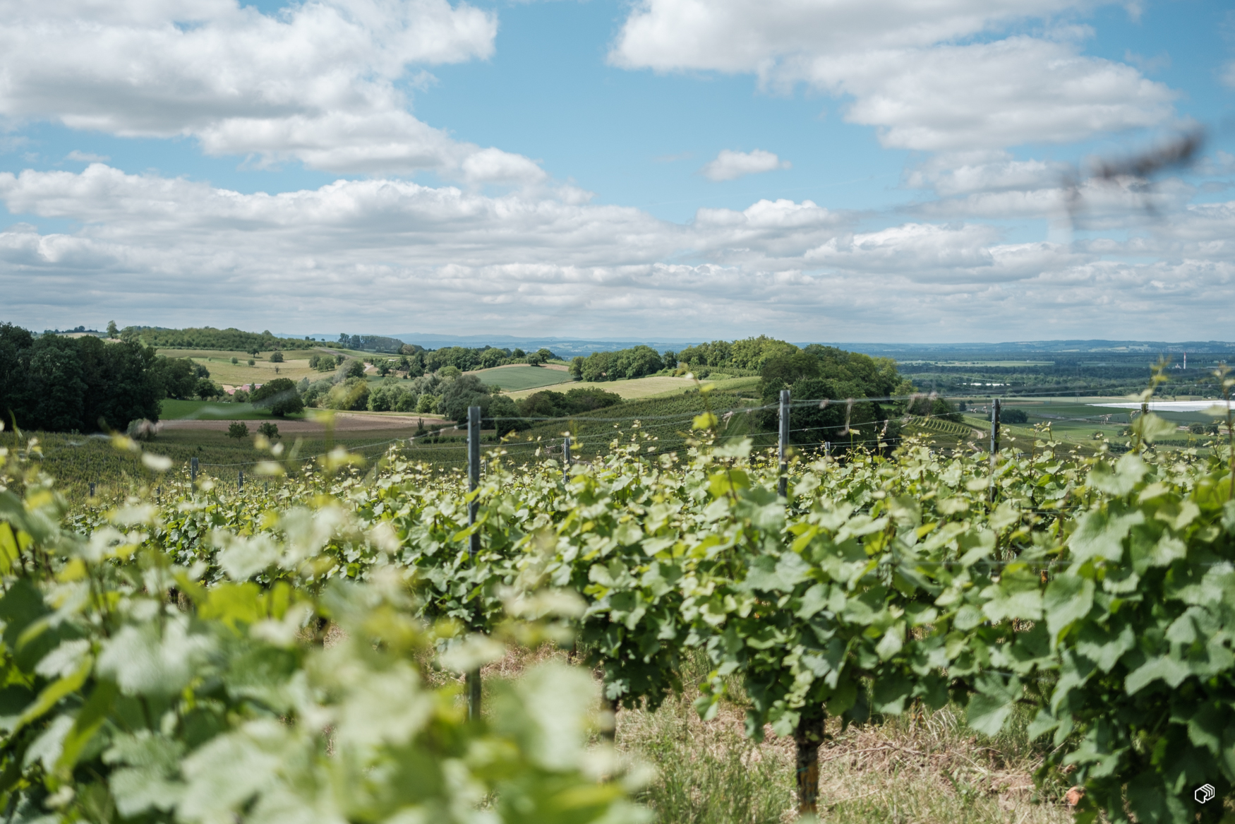  Rainer Wiest Kommunikationsdesign Portfoliobild