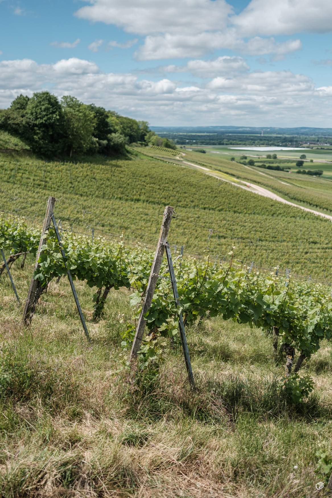  Rainer Wiest Kommunikationsdesign Portfoliobild