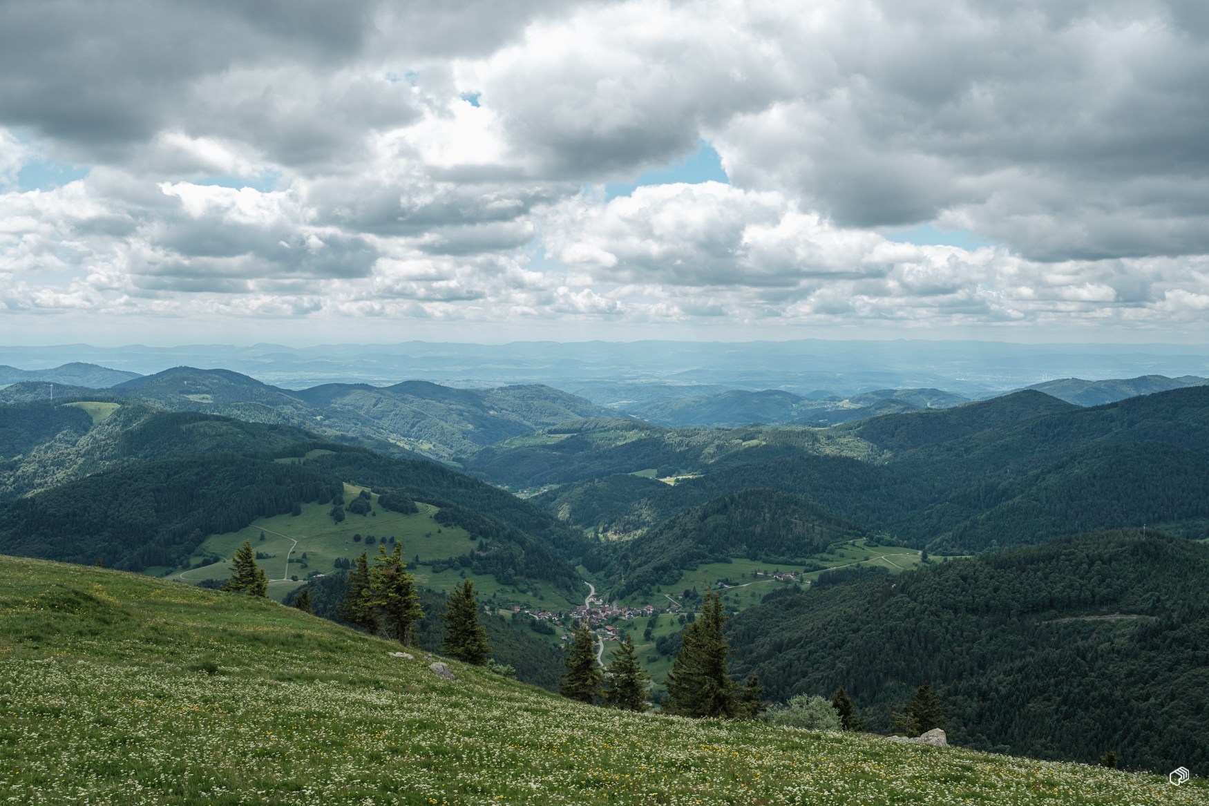  Rainer Wiest Kommunikationsdesign Portfoliobild