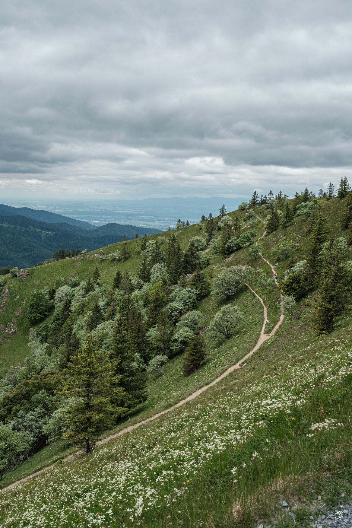  Rainer Wiest Kommunikationsdesign Portfoliobild