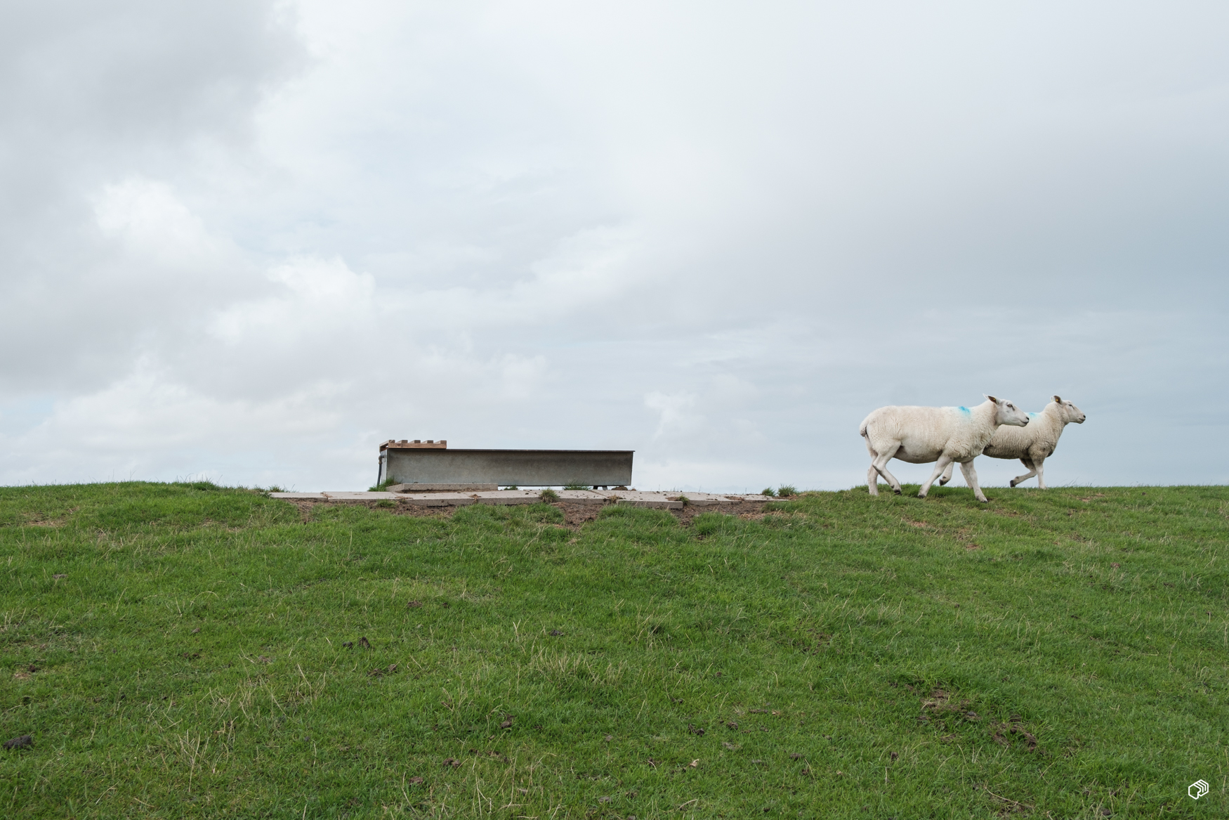  Rainer Wiest Kommunikationsdesign Portfoliobild