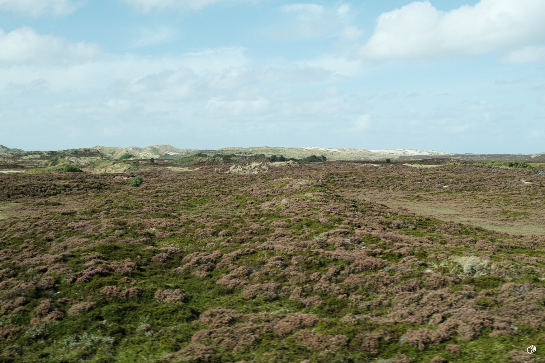  Rainer Wiest Kommunikationsdesign Portfoliobild