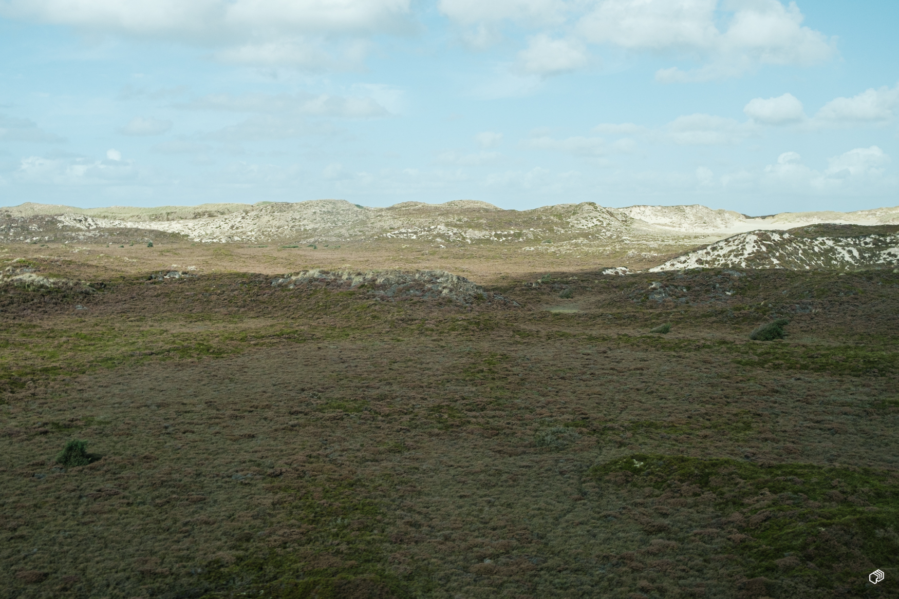  Rainer Wiest Kommunikationsdesign Portfoliobild