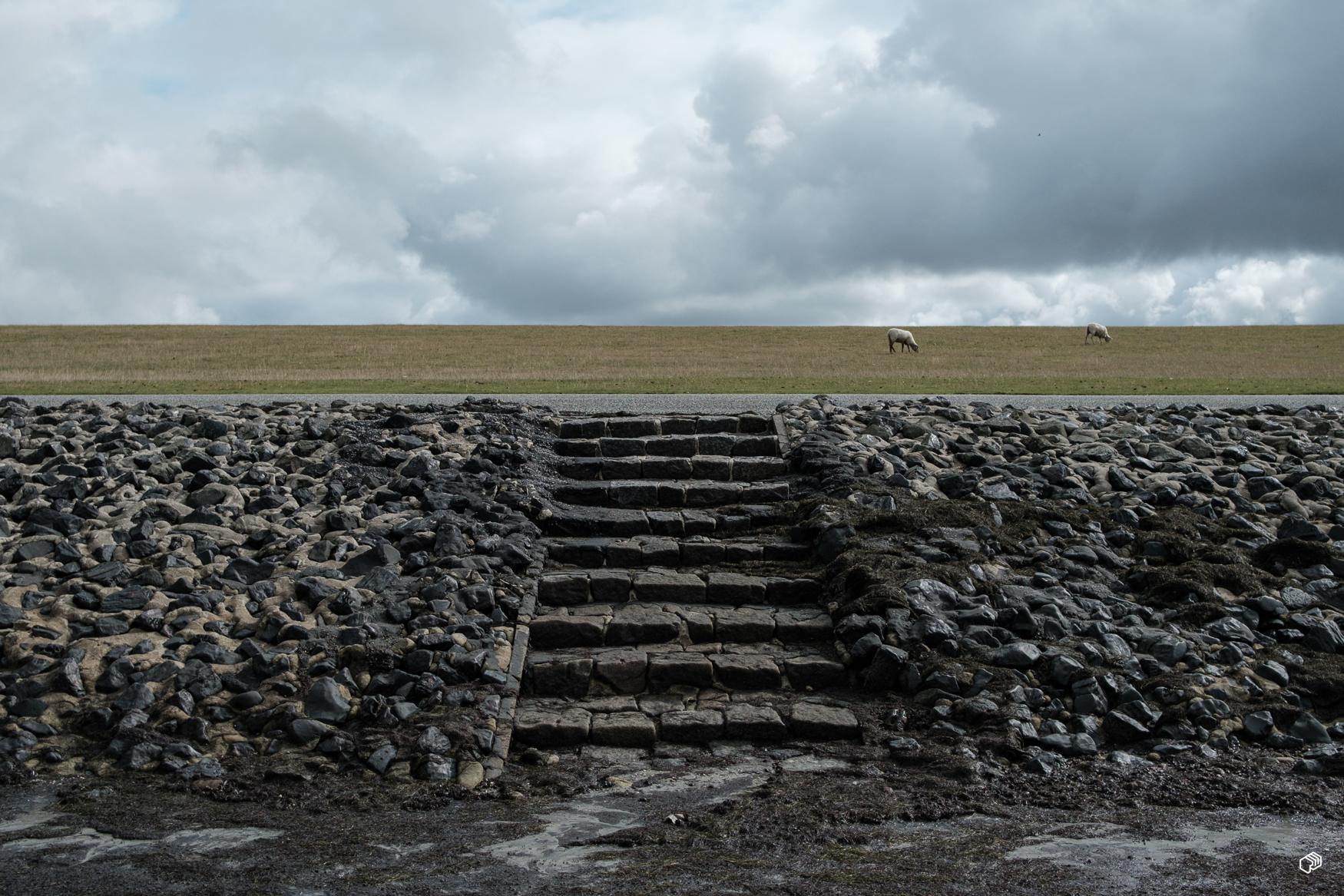  Rainer Wiest Kommunikationsdesign Portfoliobild