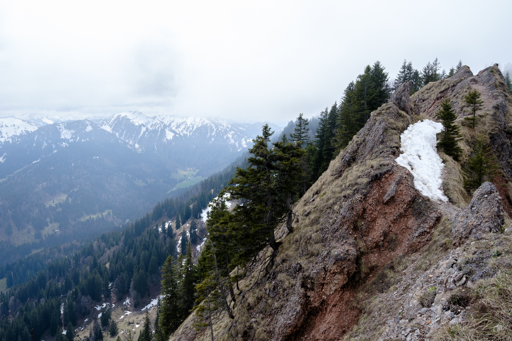  Rainer Wiest Kommunikationsdesign Portfoliobild