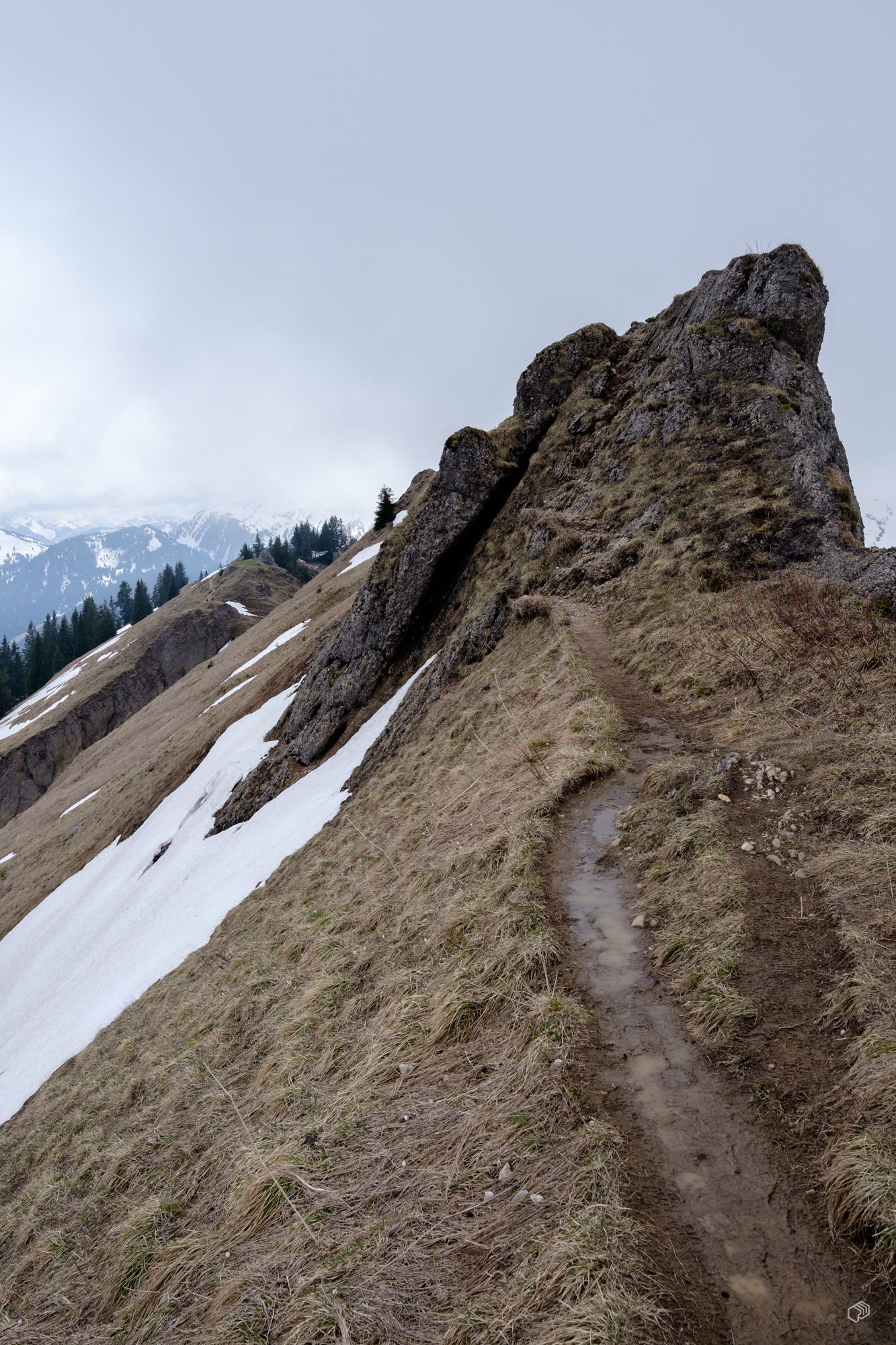  Rainer Wiest Kommunikationsdesign Portfoliobild