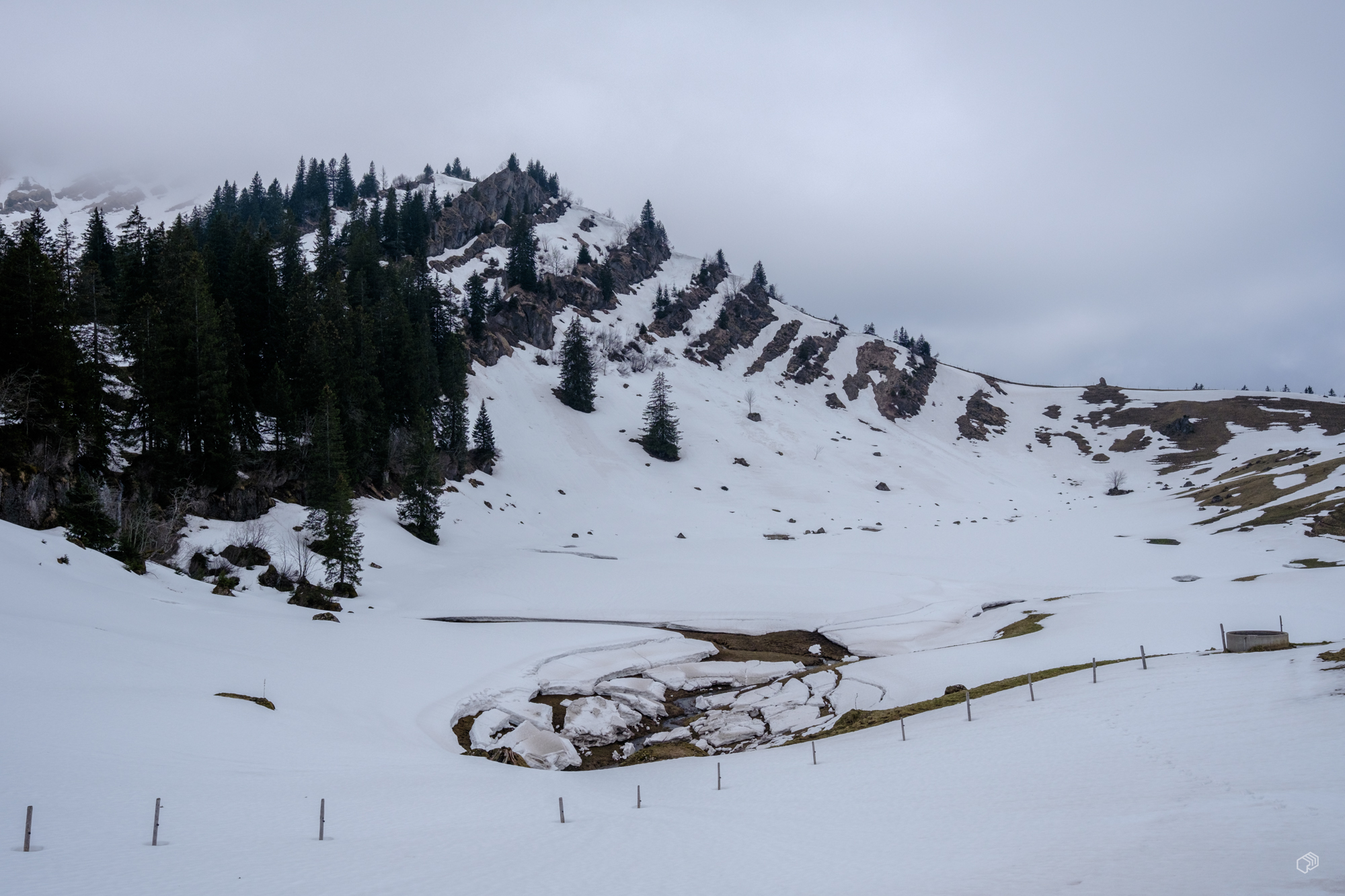  Rainer Wiest Kommunikationsdesign Portfoliobild