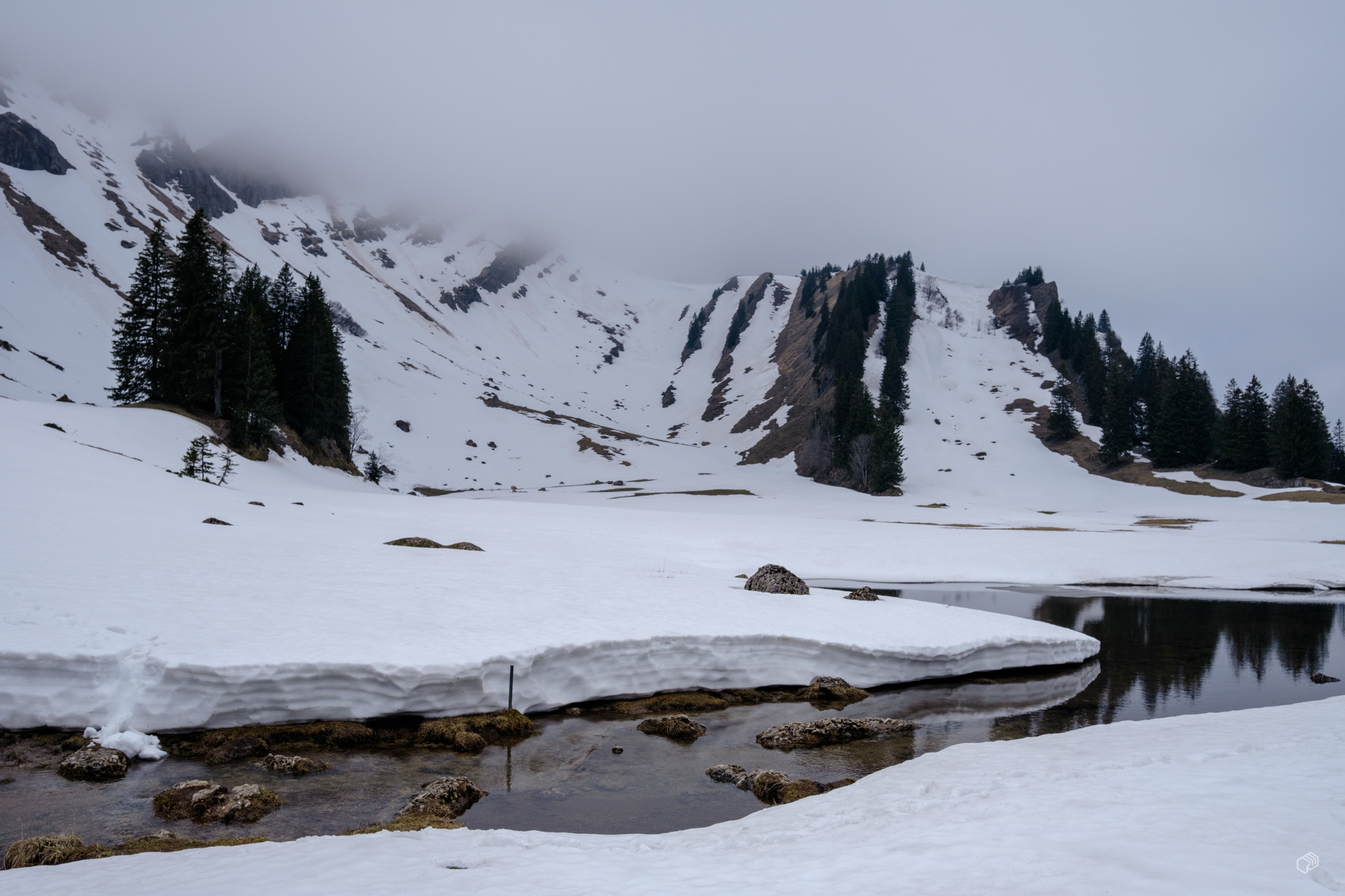  Rainer Wiest Kommunikationsdesign Portfoliobild