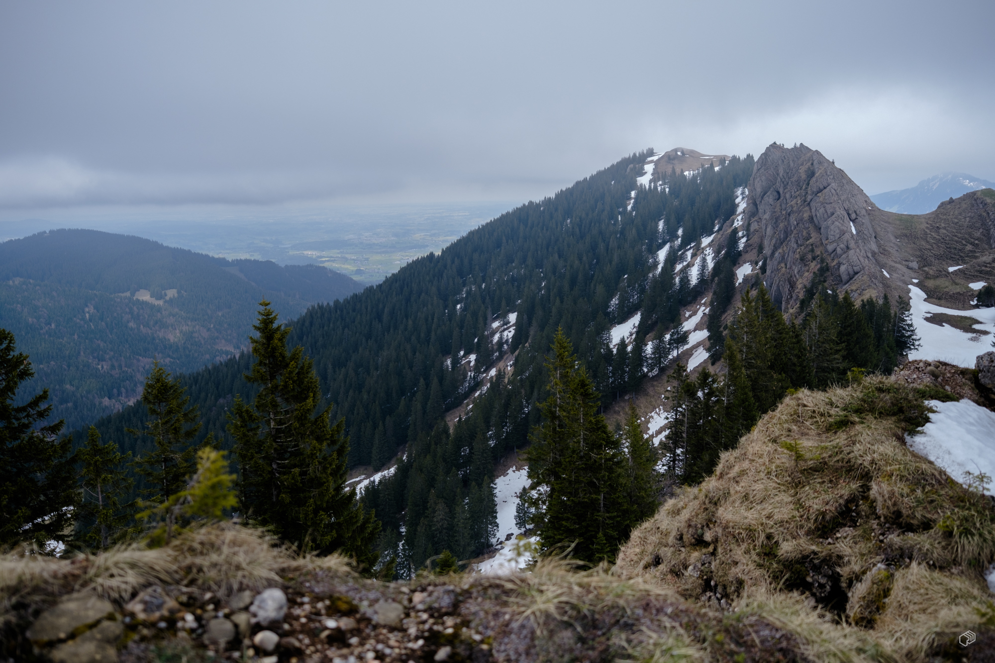  Rainer Wiest Kommunikationsdesign Portfoliobild