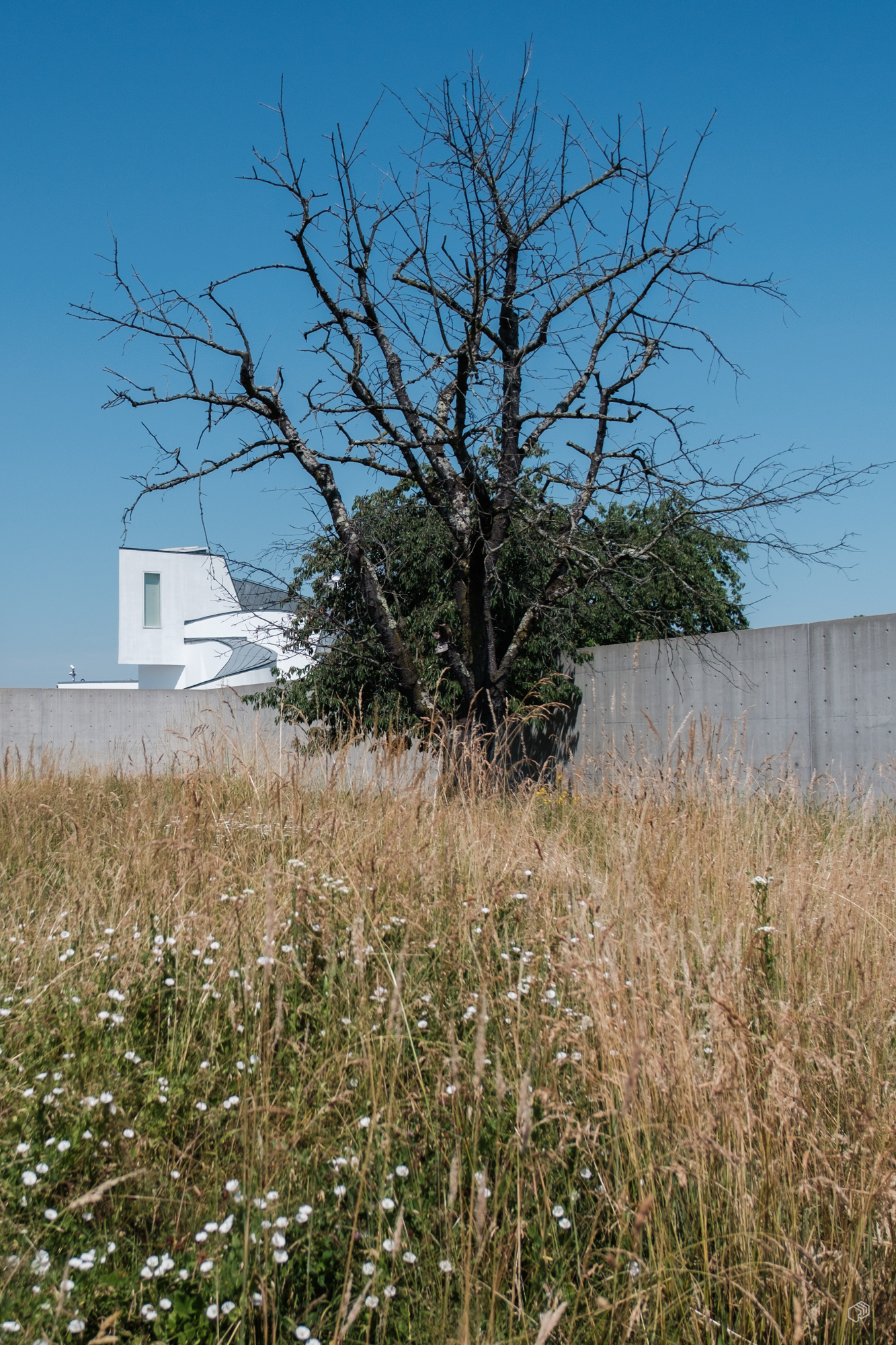  Rainer Wiest Kommunikationsdesign Portfoliobild