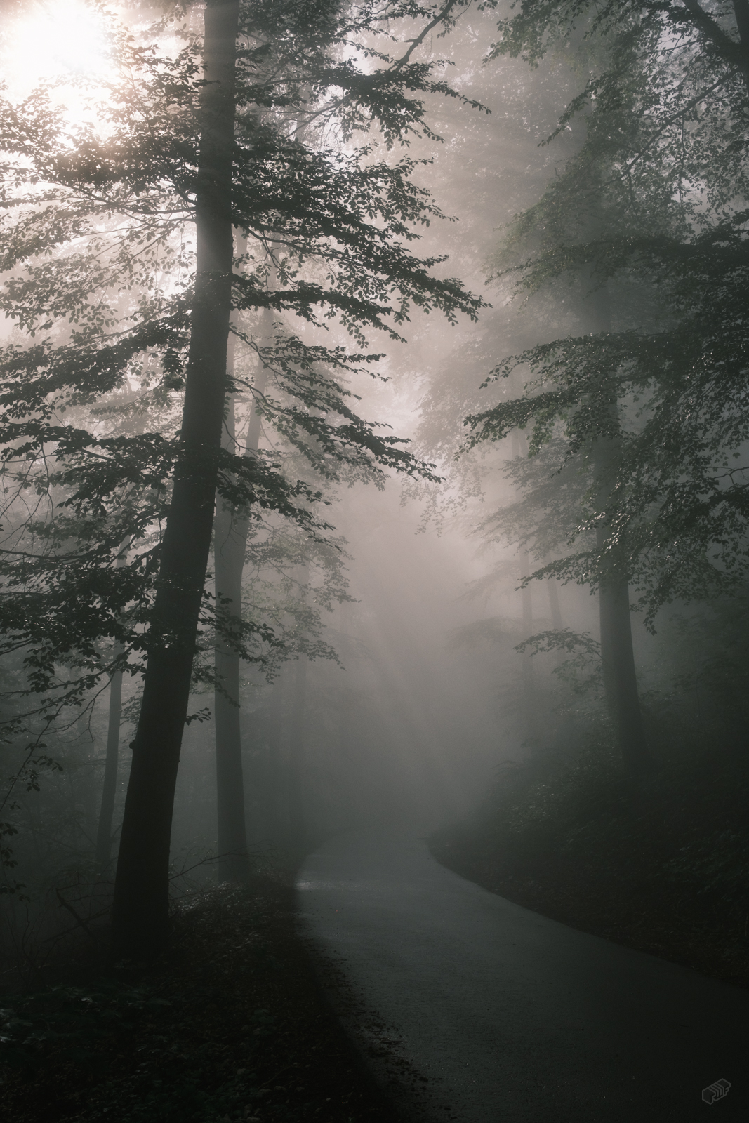  Rainer Wiest Kommunikationsdesign Portfoliobild