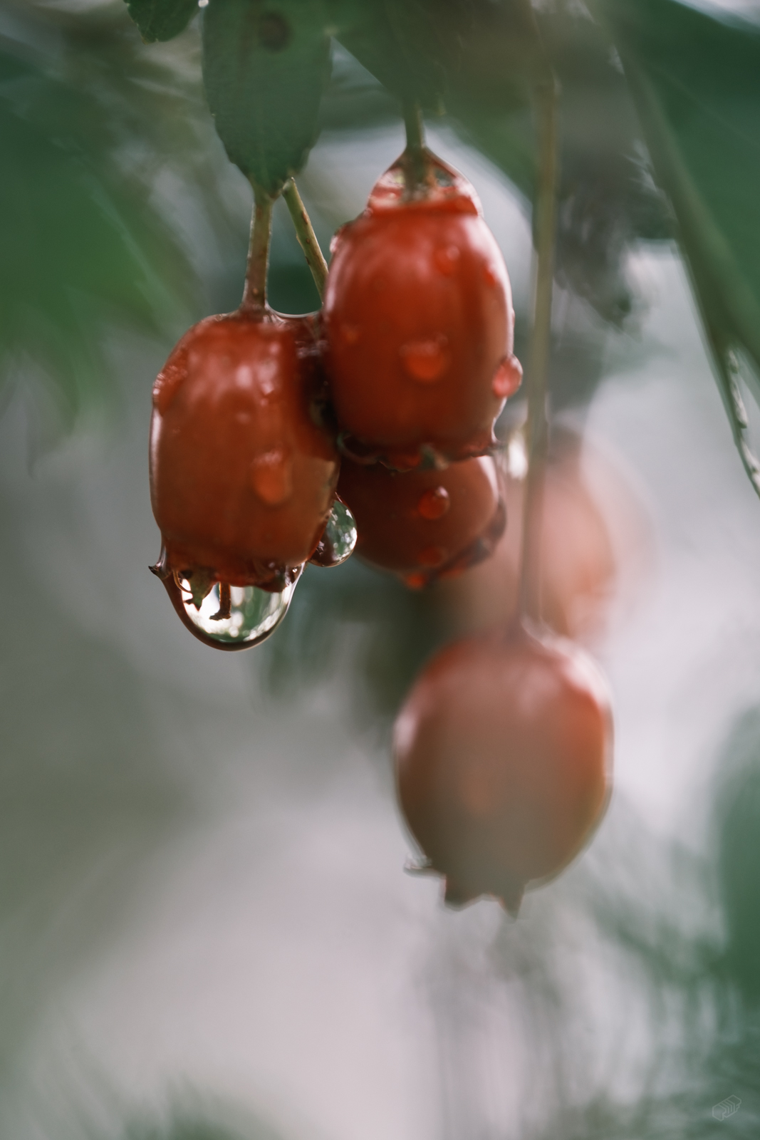  Rainer Wiest Kommunikationsdesign Portfoliobild