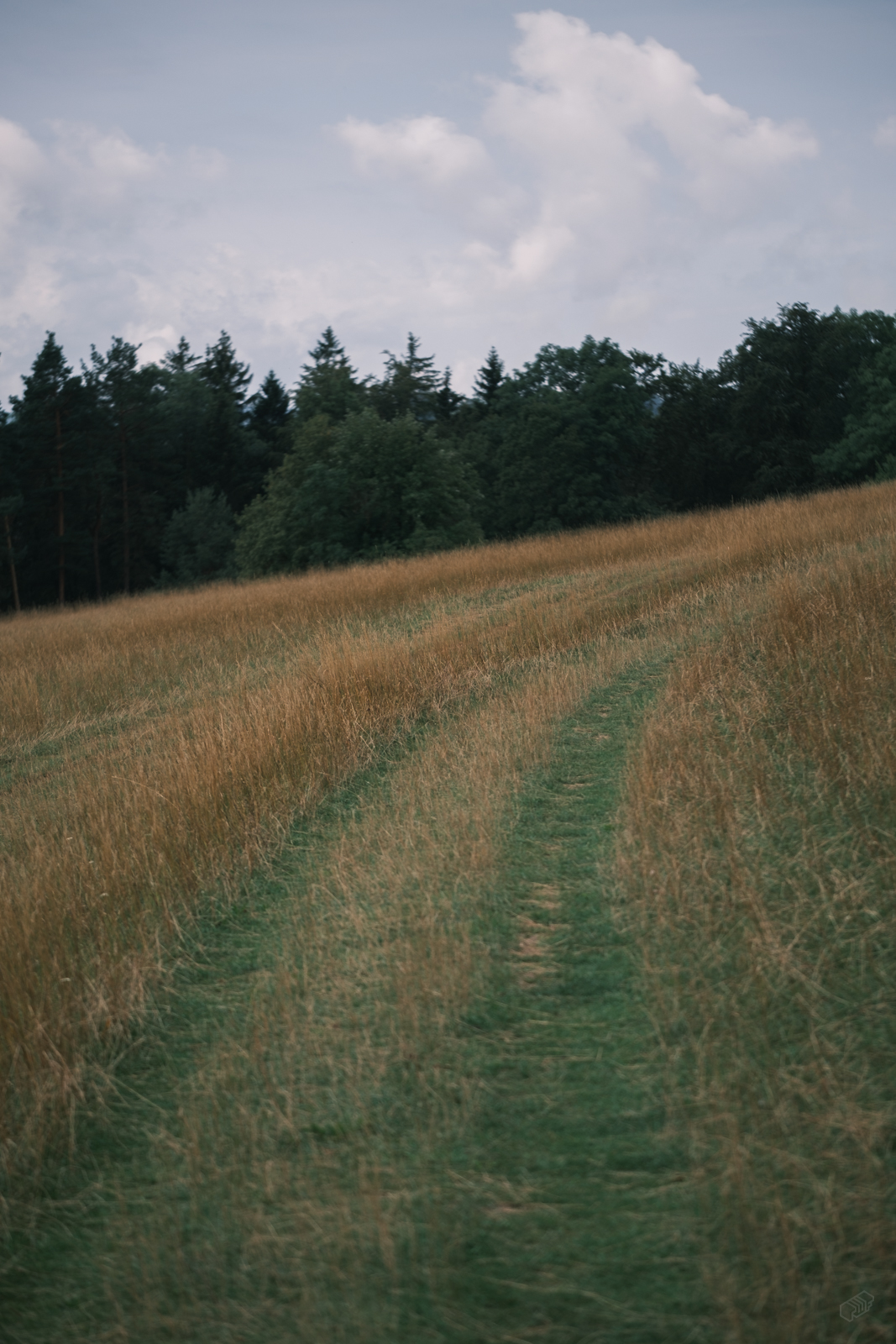  Rainer Wiest Kommunikationsdesign Portfoliobild